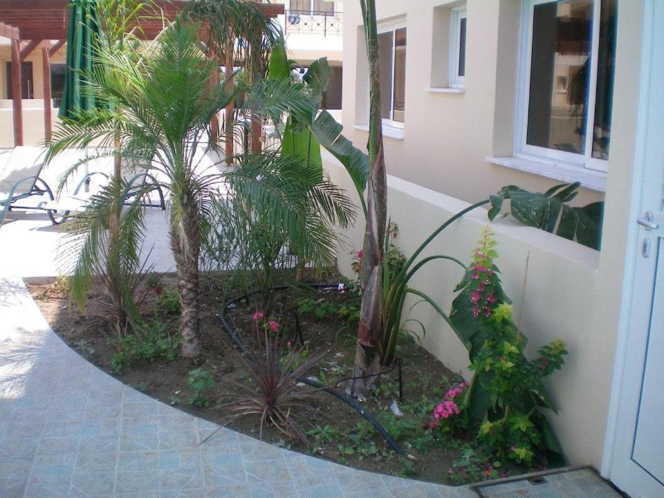 Photo 200
