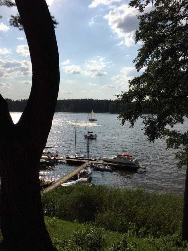 Photo 41