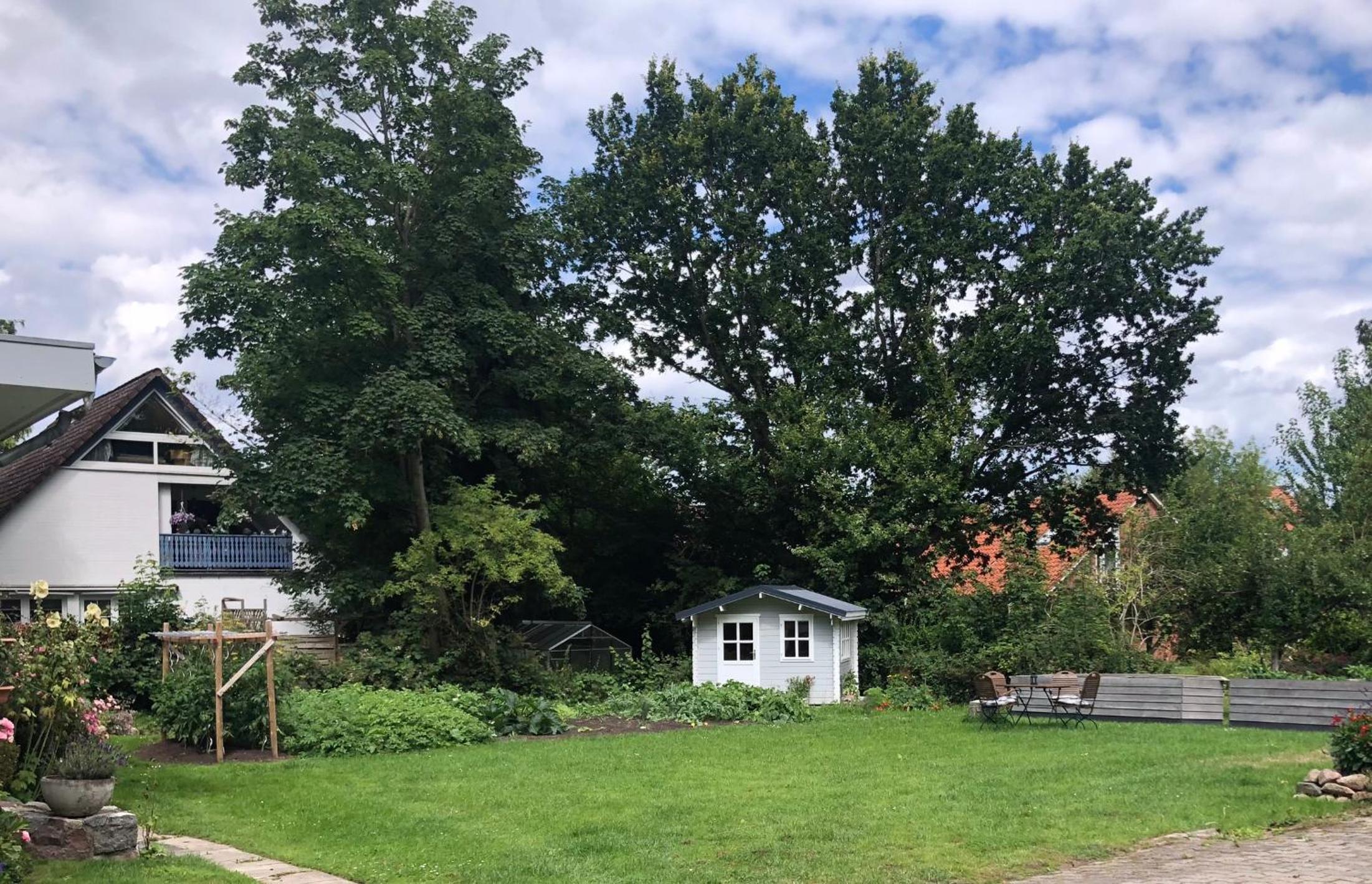 Ferienwohnung „Die Koje“ Hohwacht/Ostsee view 5