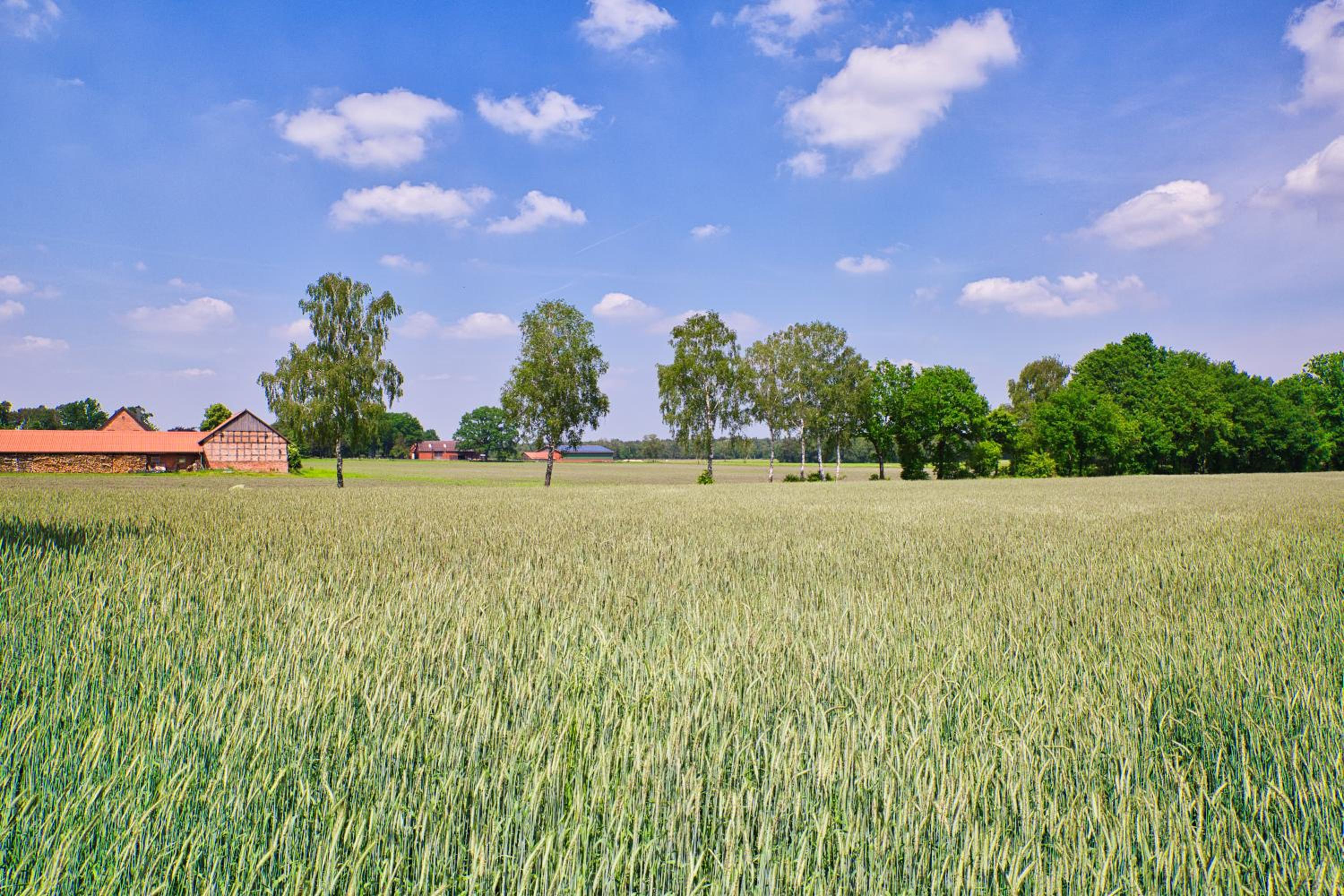 Bauernhofurlaub bei Familie Bokeloh