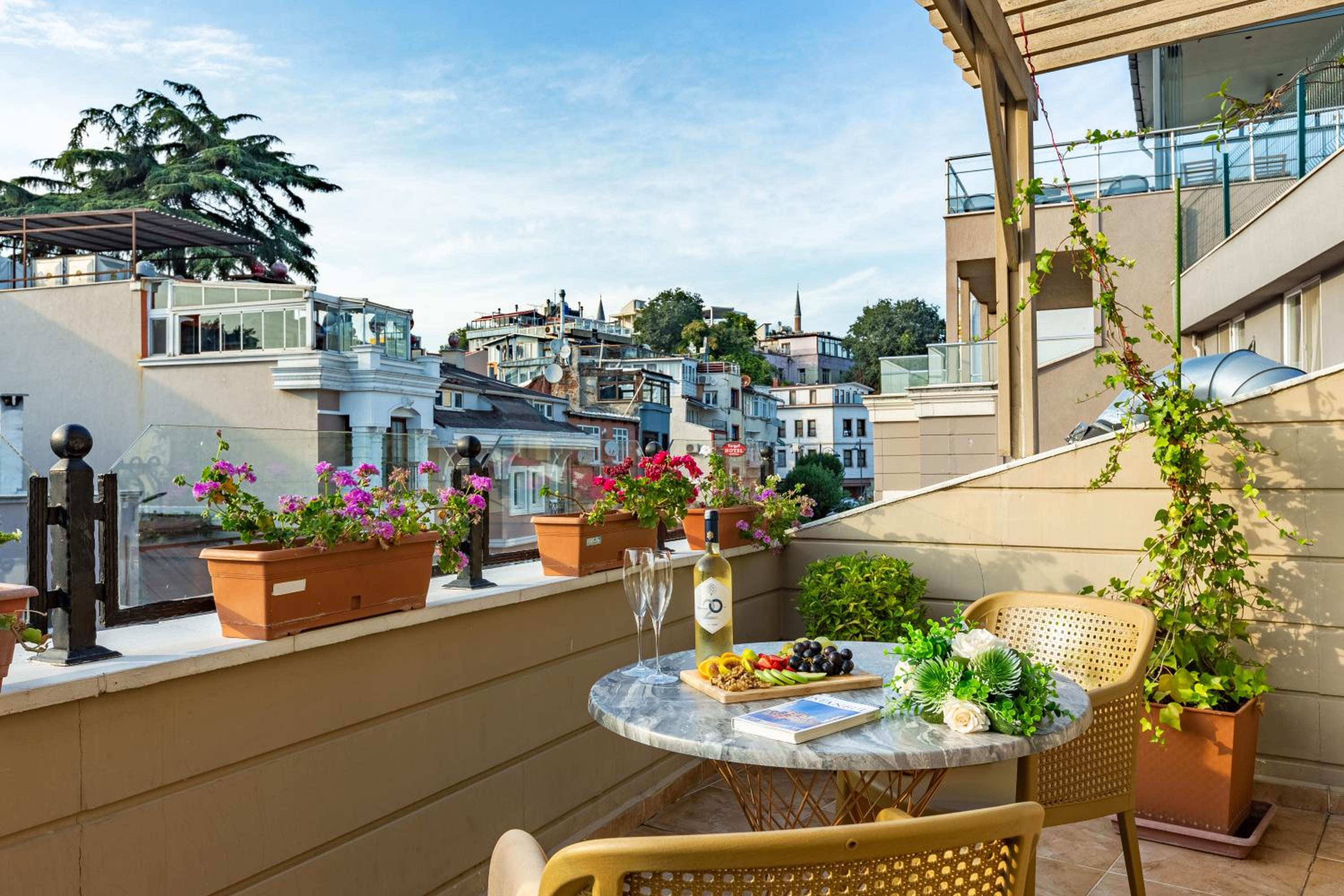 balance & terrace