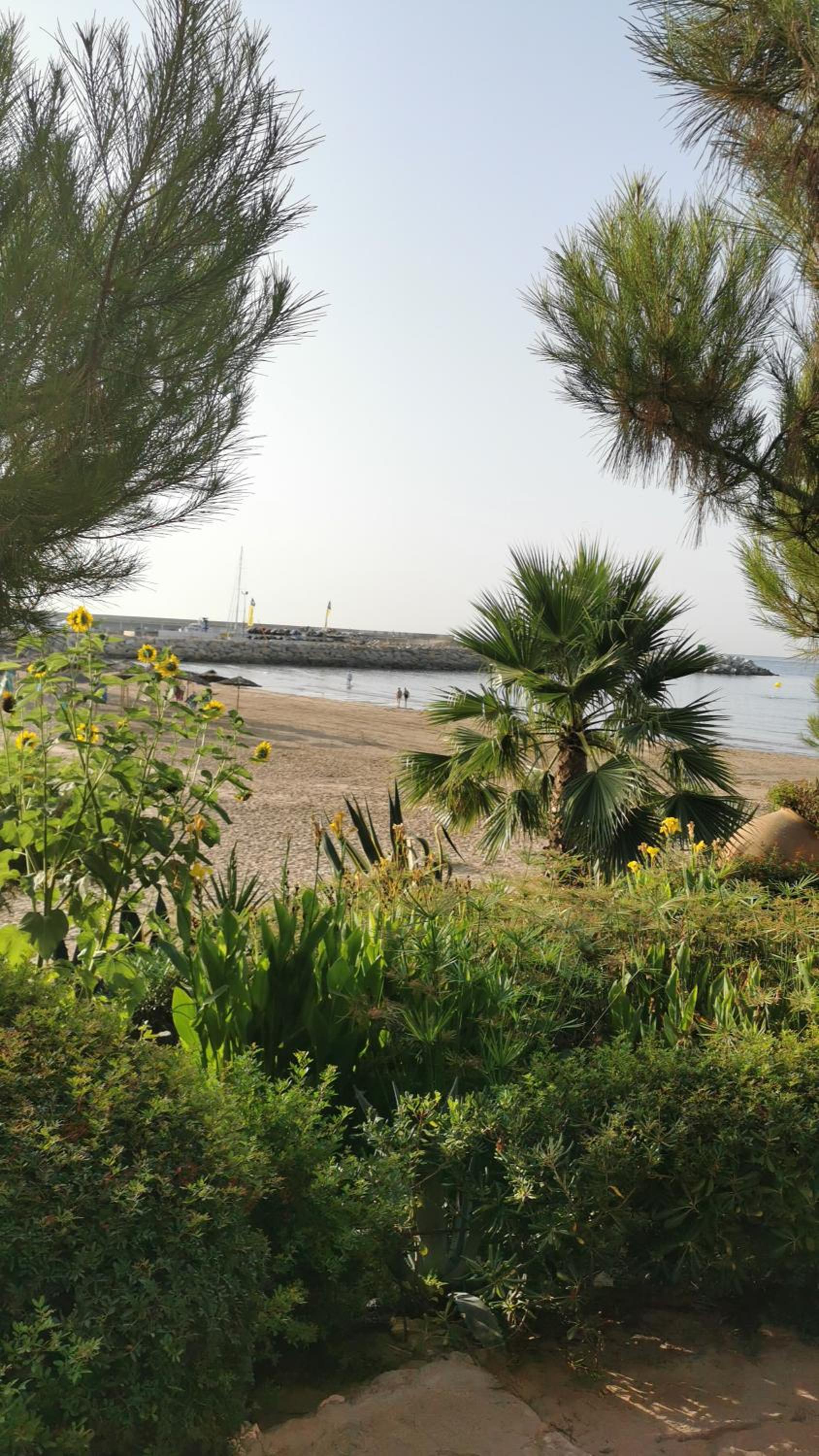 APARTAMENTO PORT DE RODA DE BARA -ROC SANT GAIETA view 2
