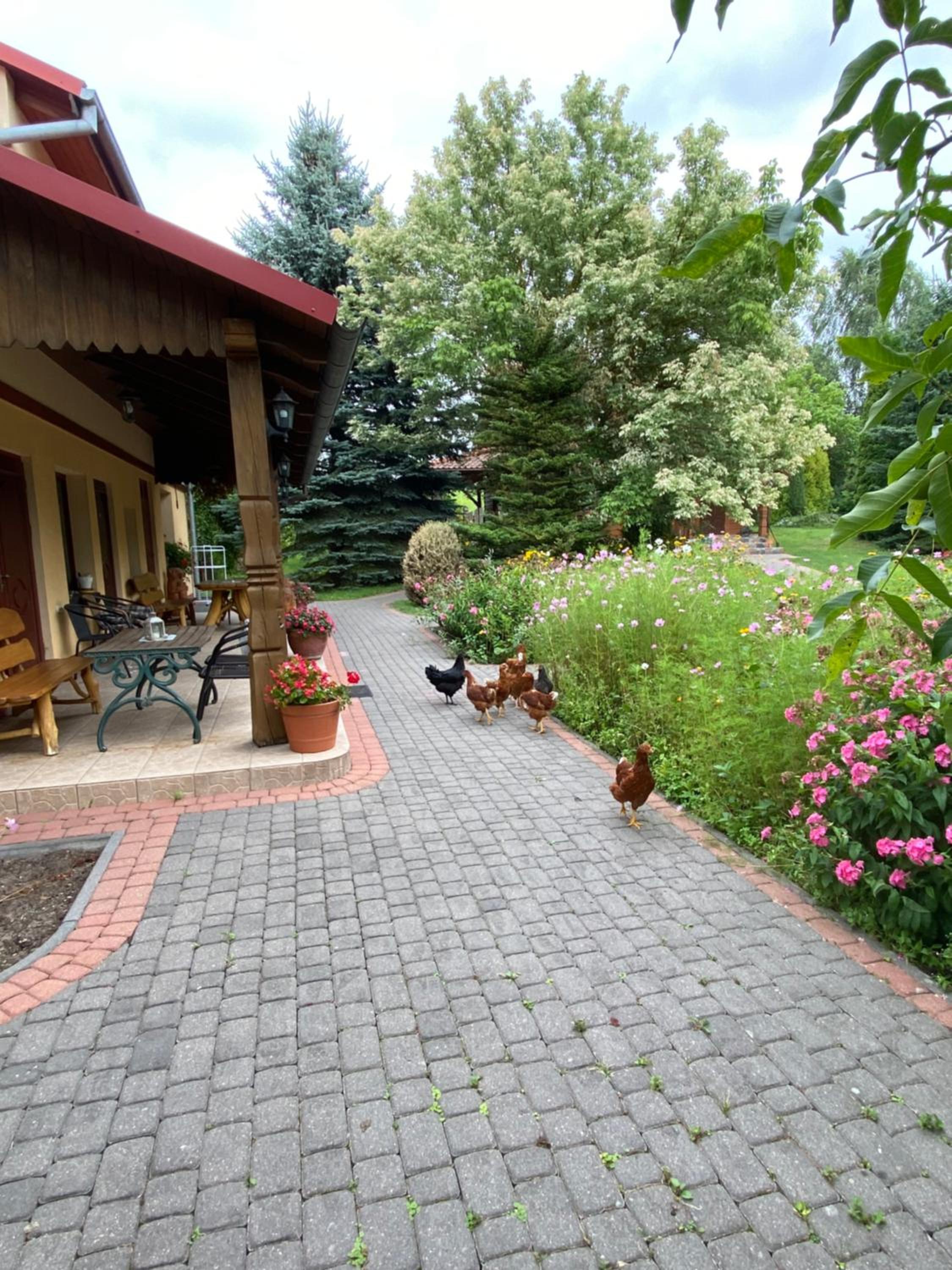 Photo 6