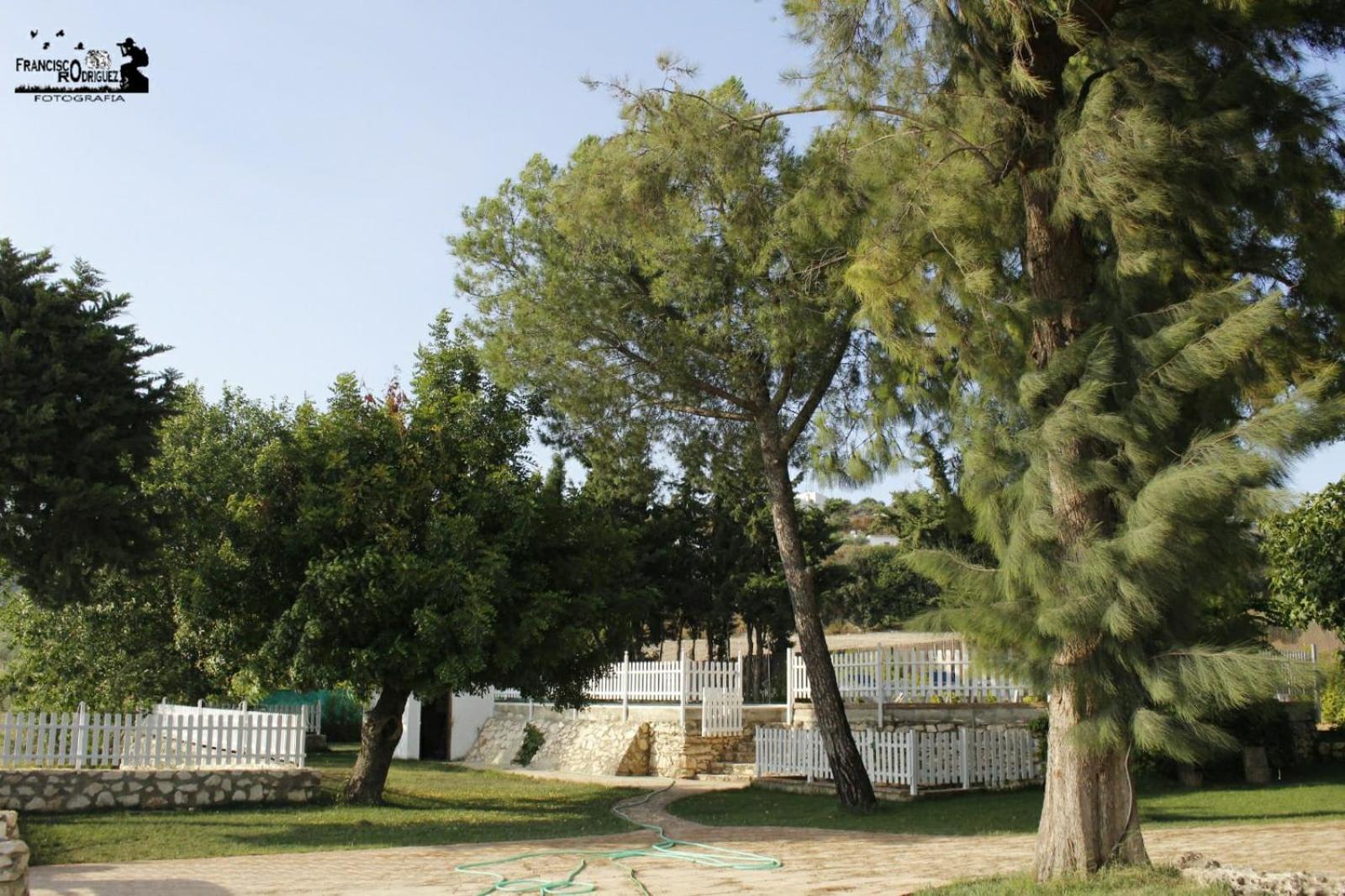 Photo 47