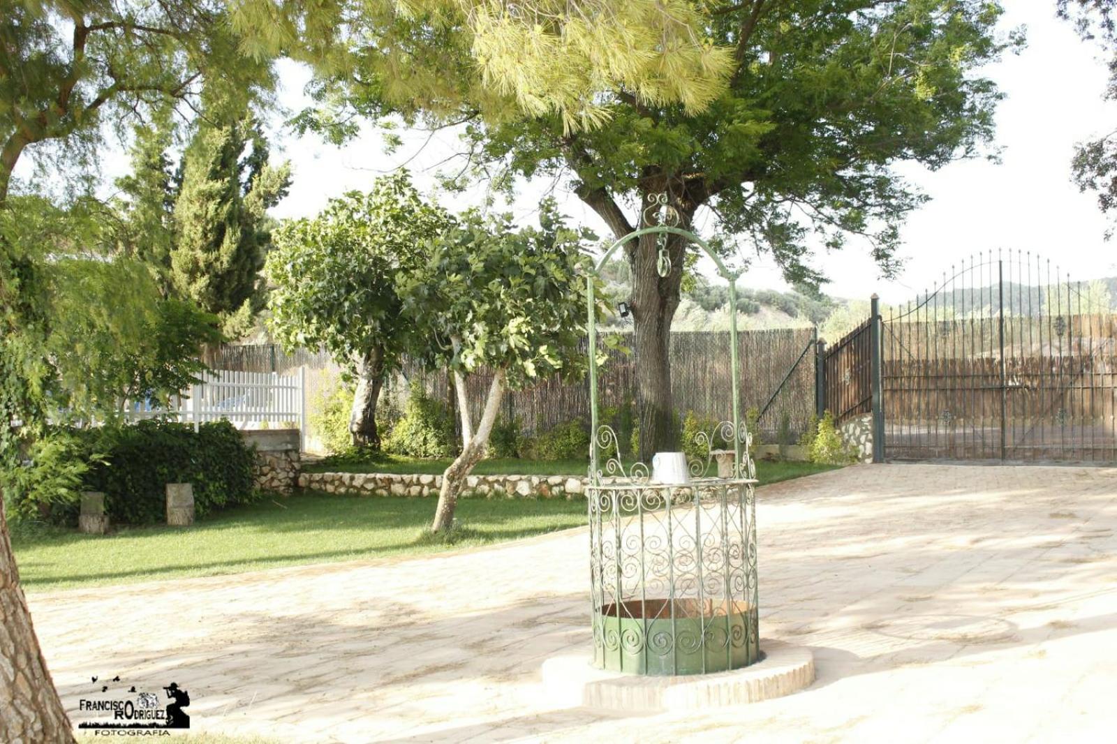 Photo 48