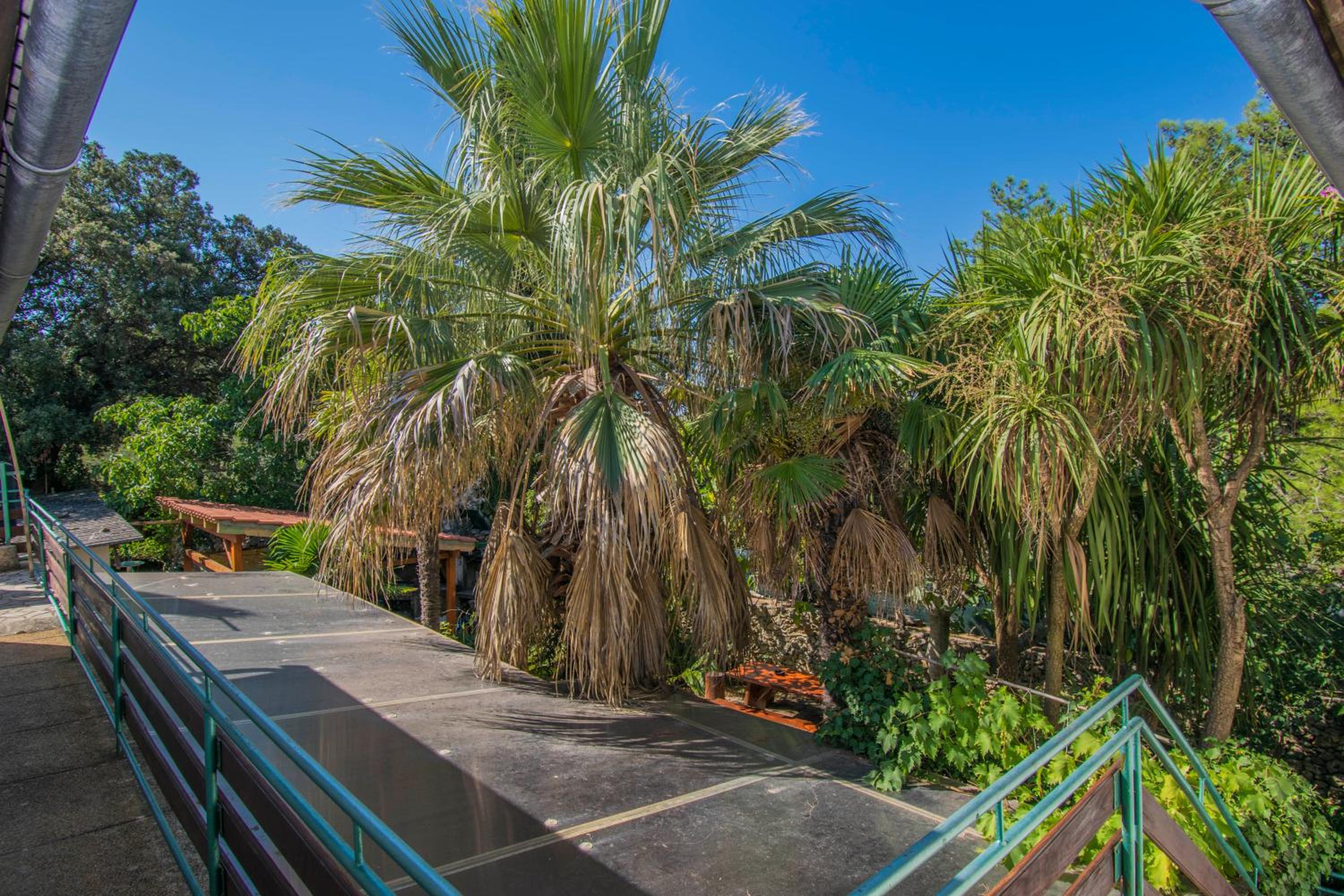 Photo 32