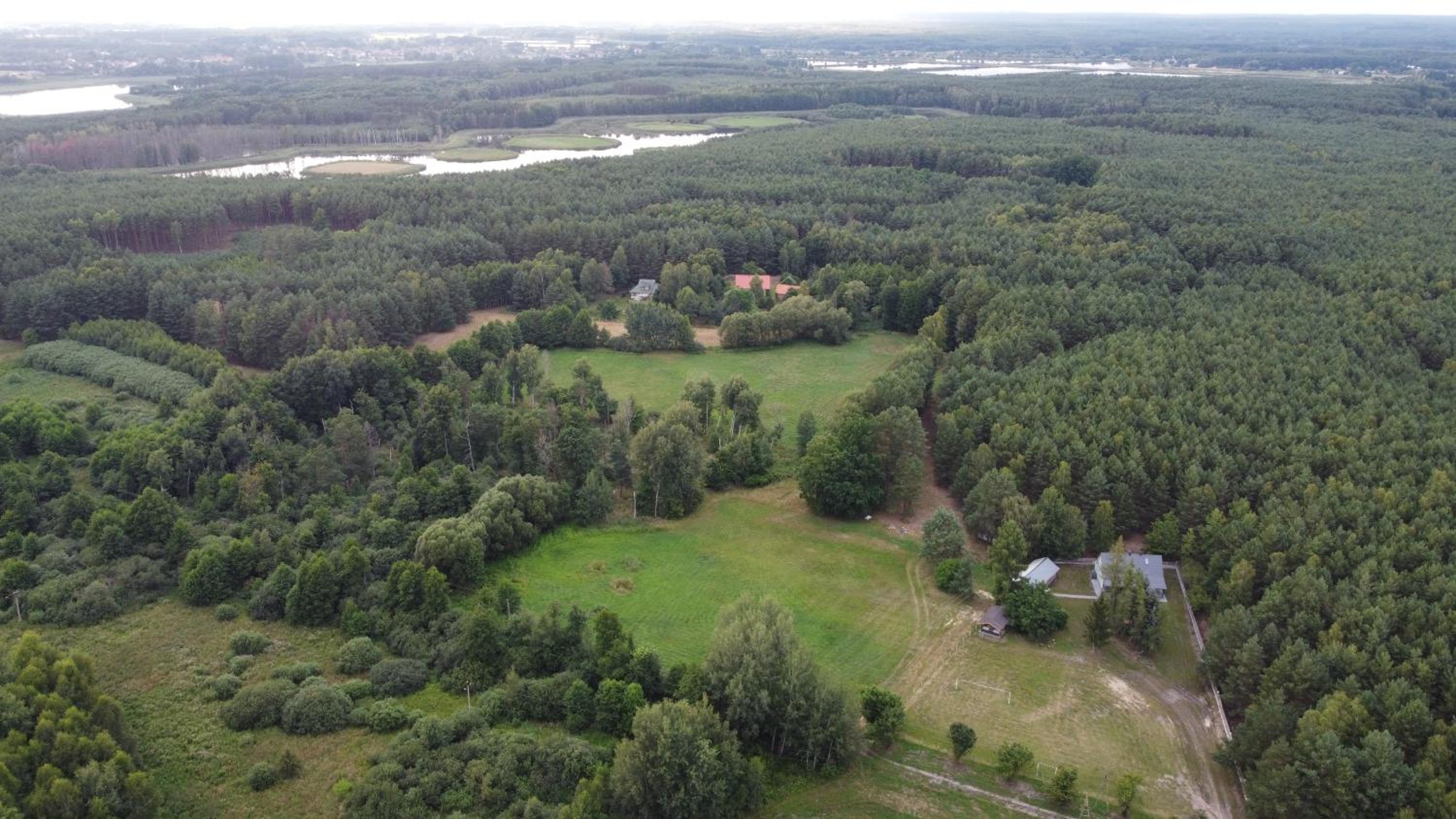 Agroturystyka PLENER view 3