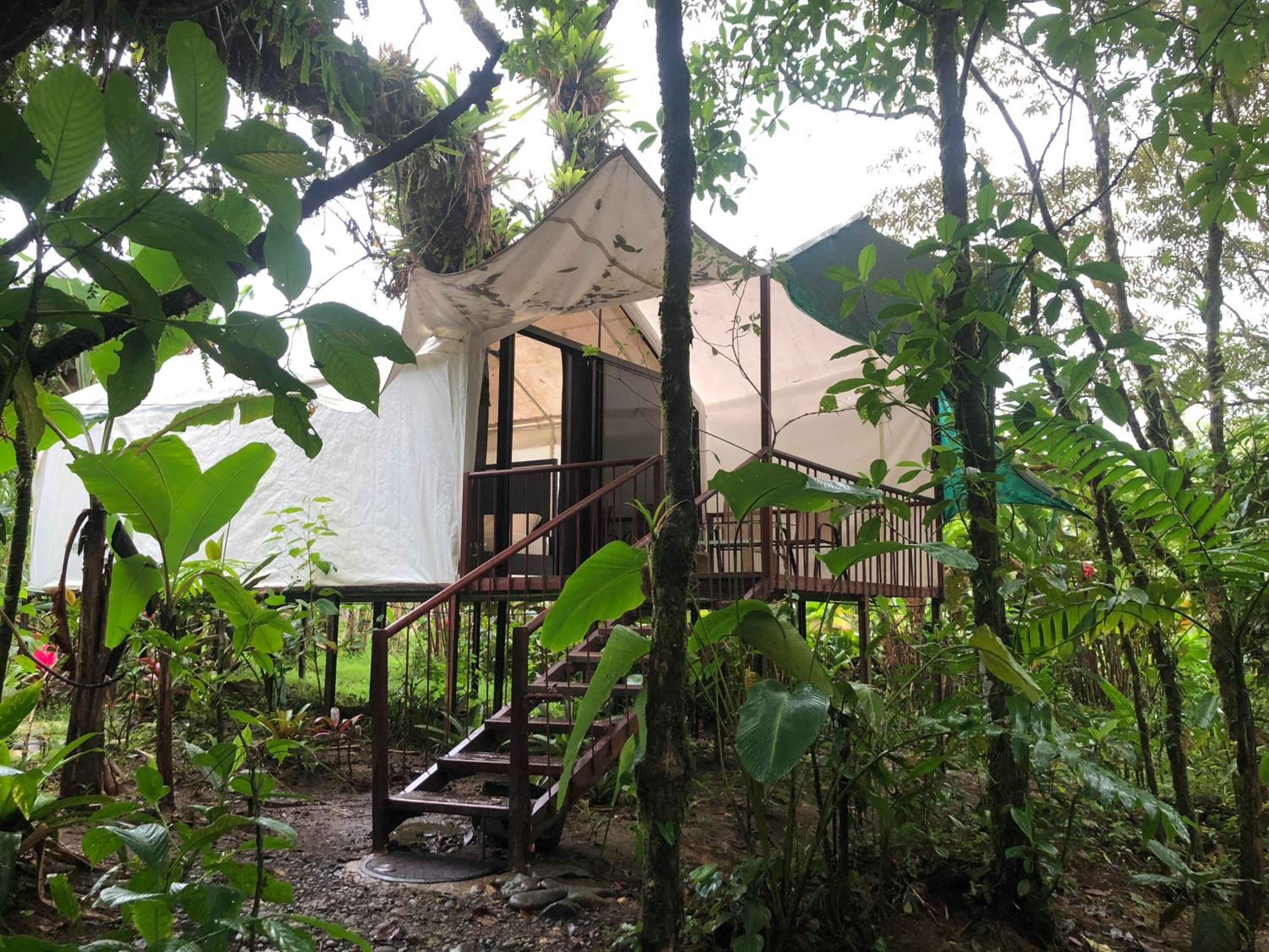 Garza del Sol Glamping Bromelia view 2