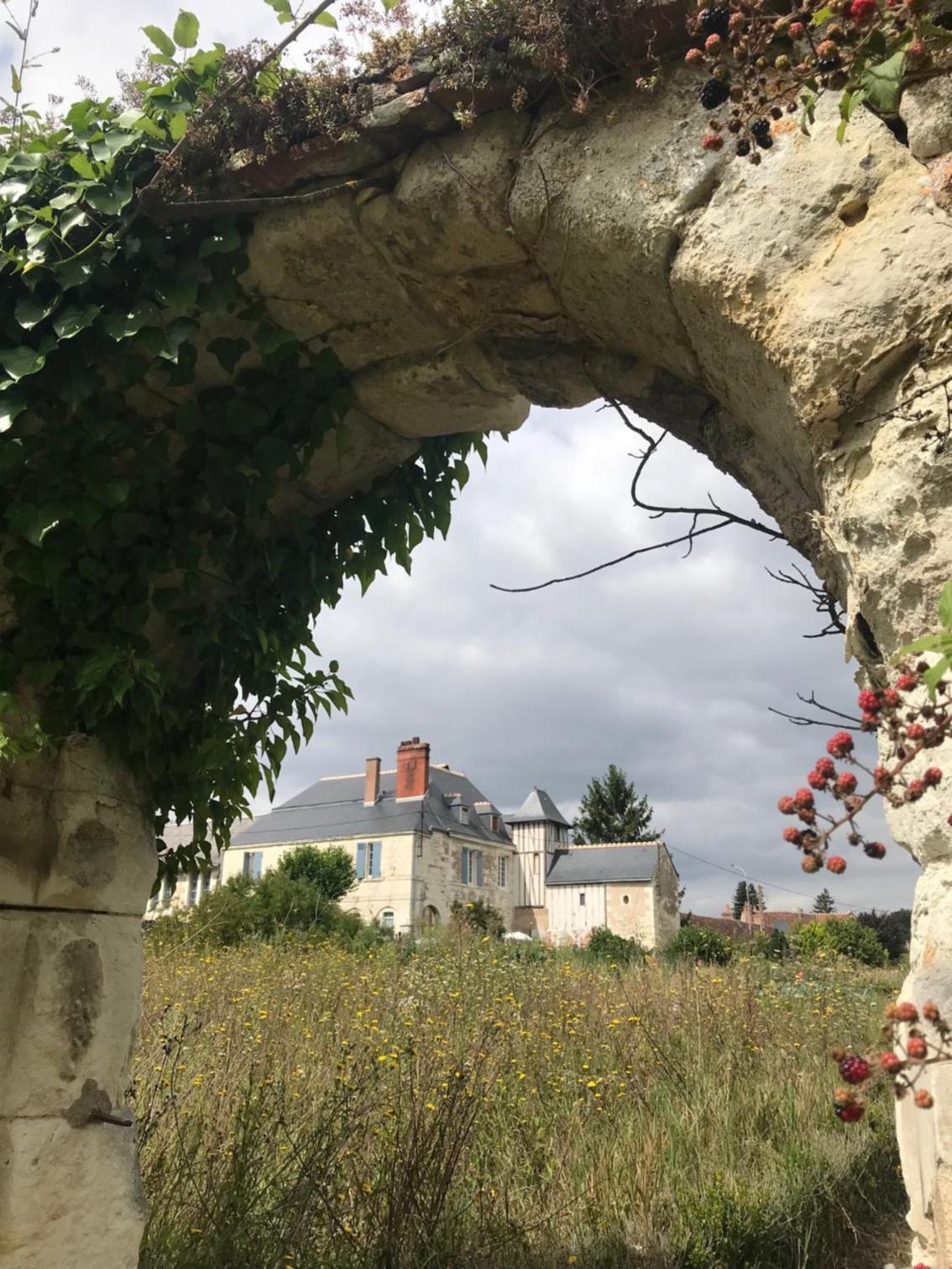 Charmant gite en rez-de-jardin view 4