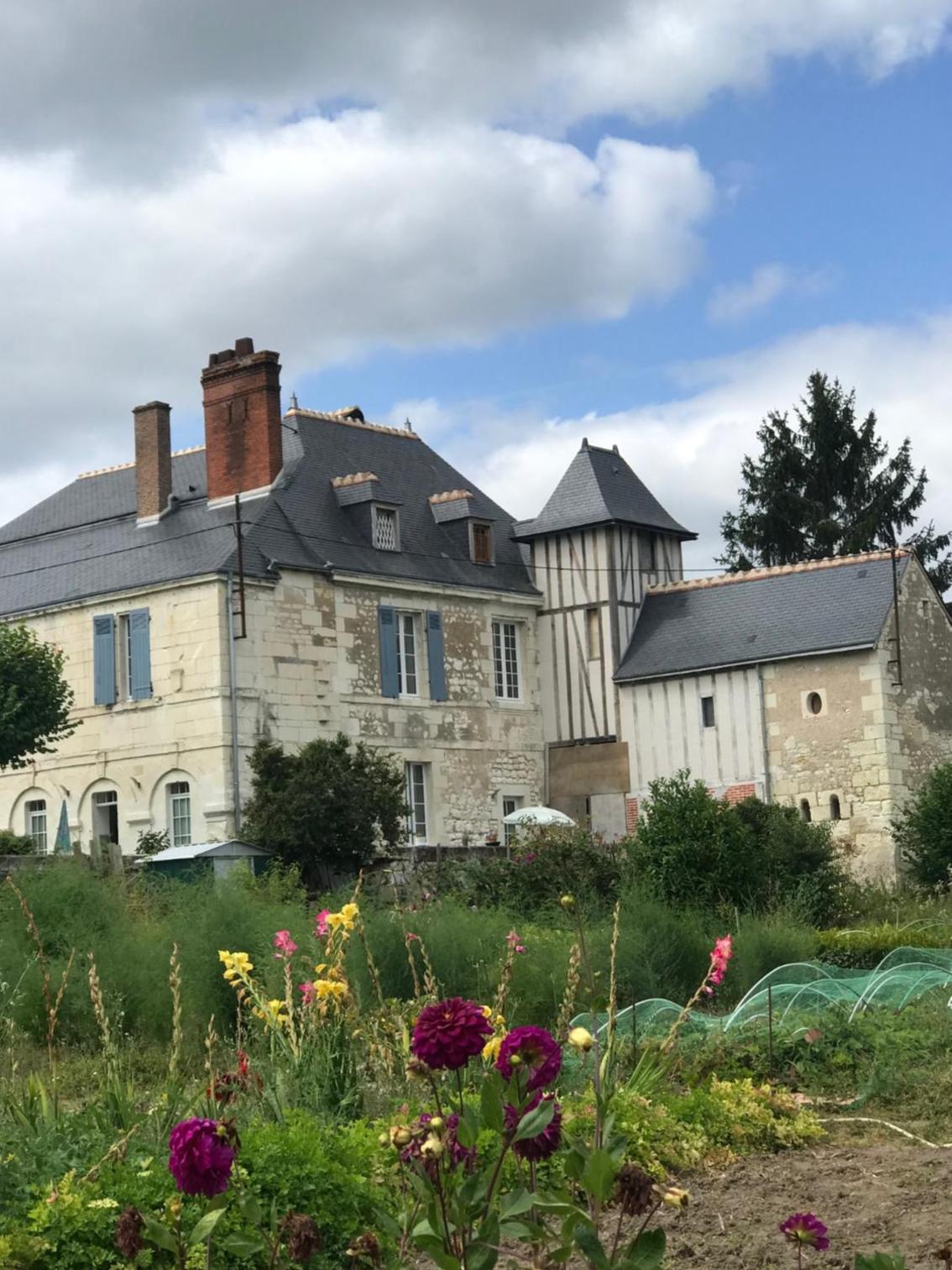 Charmant gite en rez-de-jardin view 3