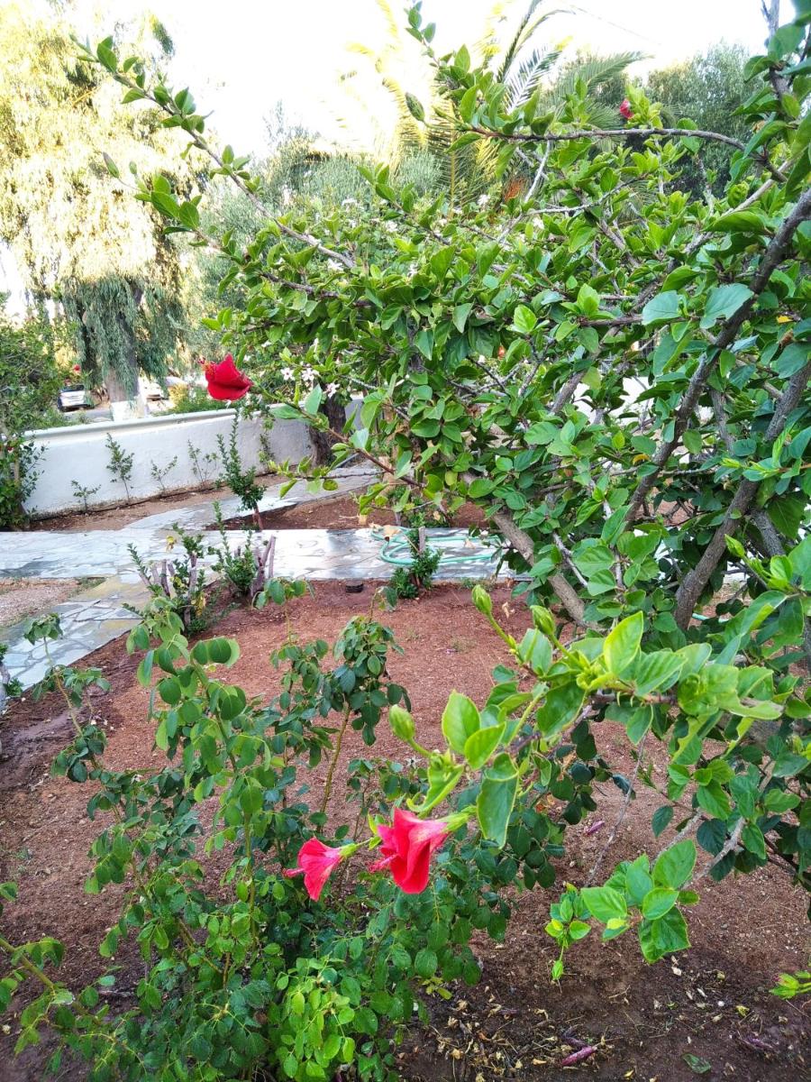 Photo 29
