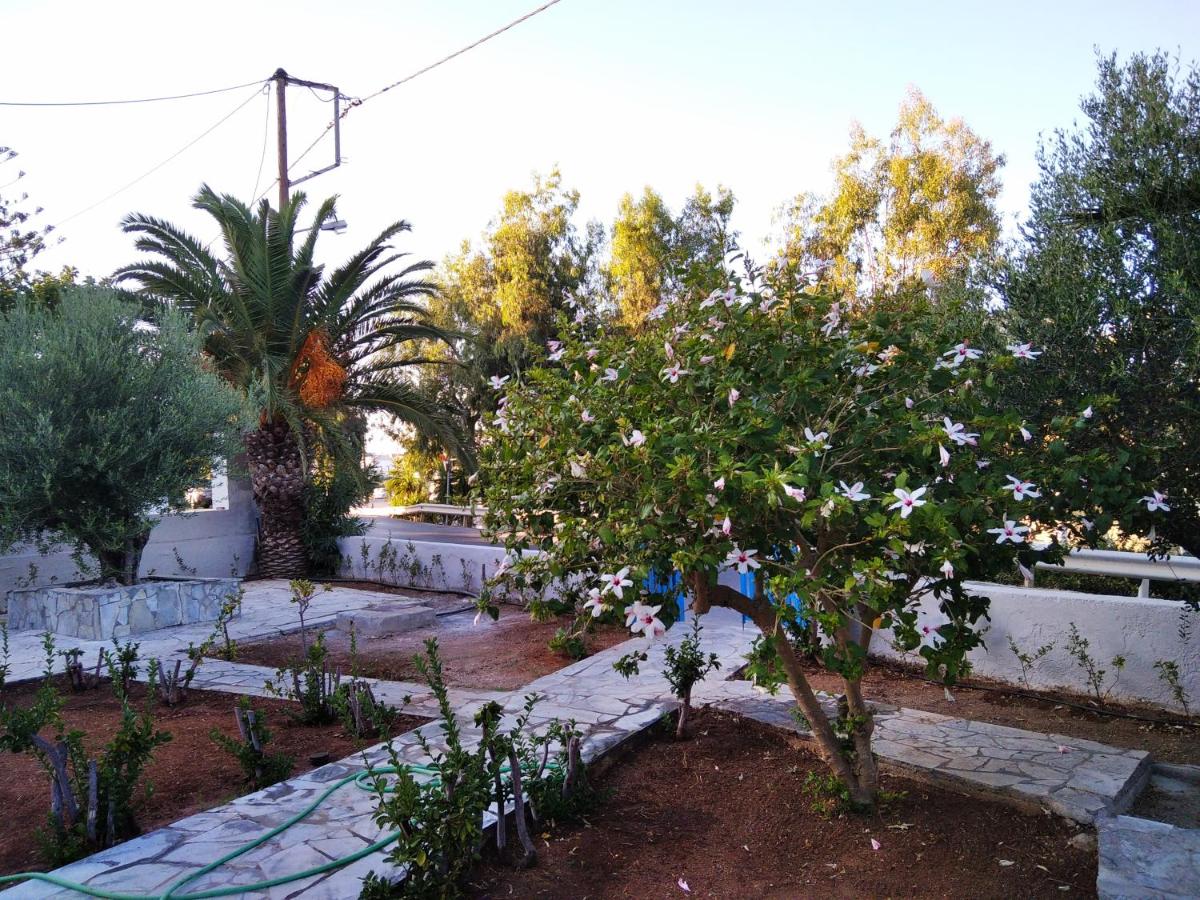 Photo 30