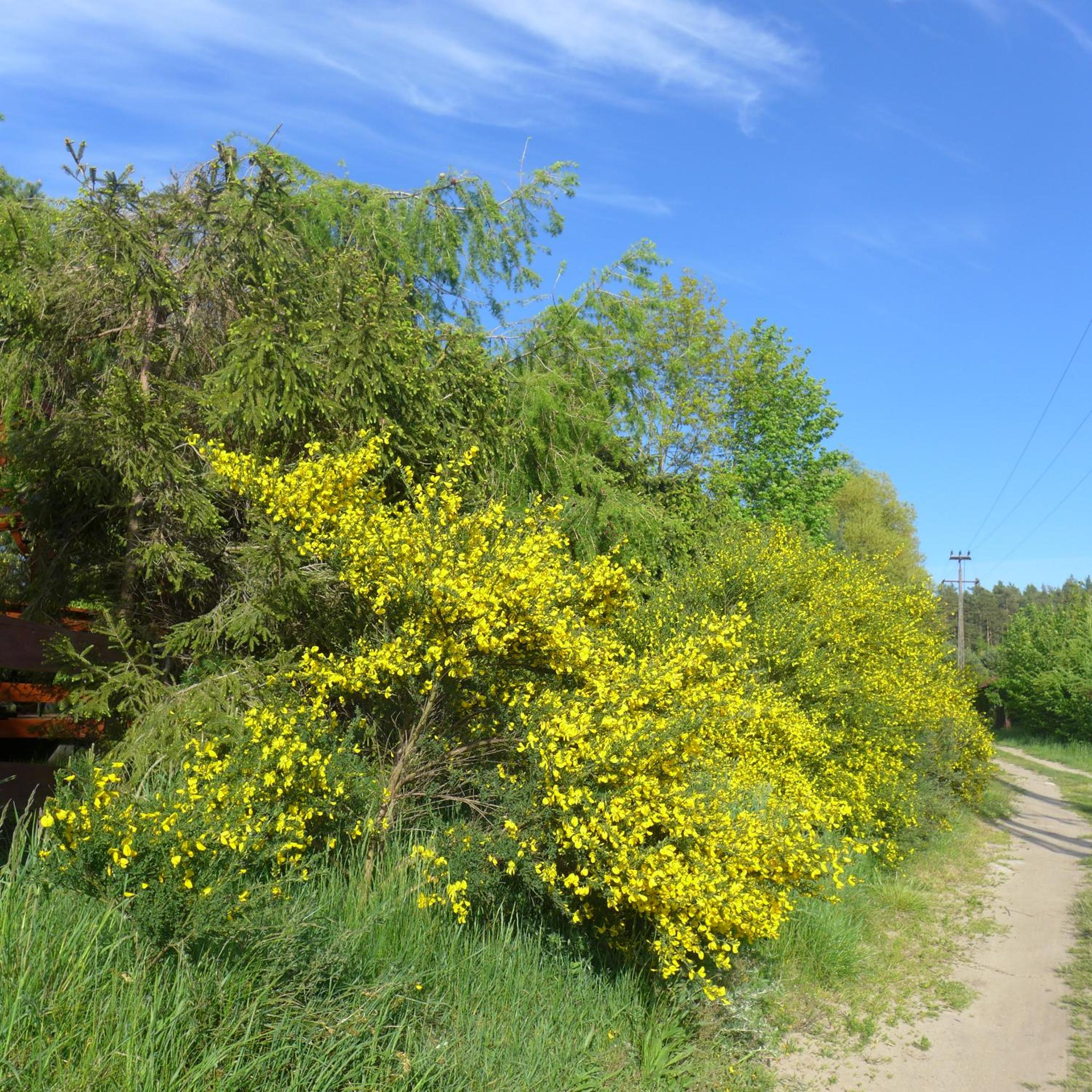 Photo 40