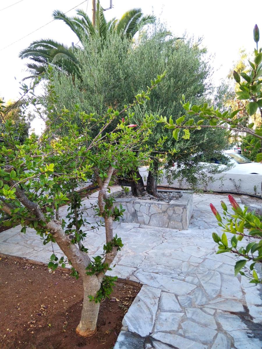 Photo 32