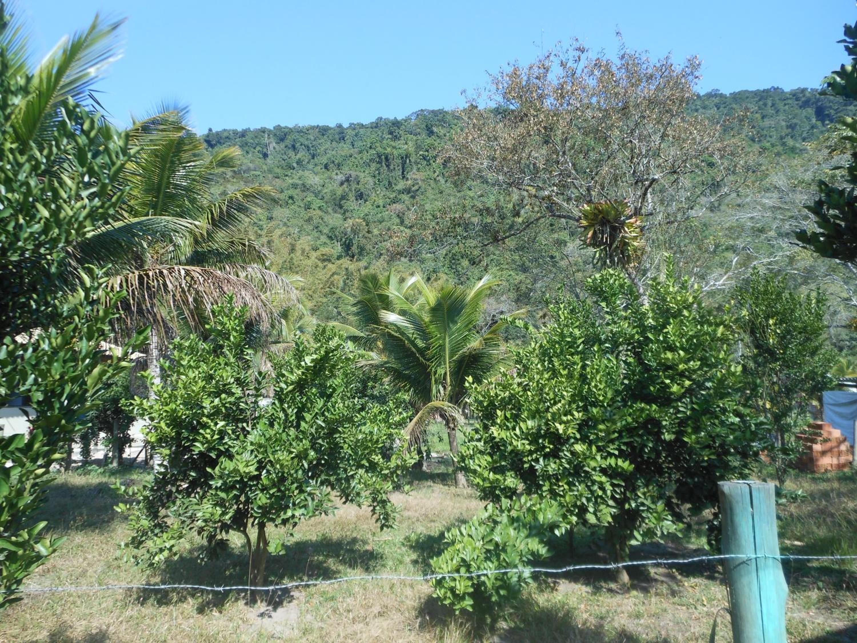 Piratas Cabanas Camping Bar