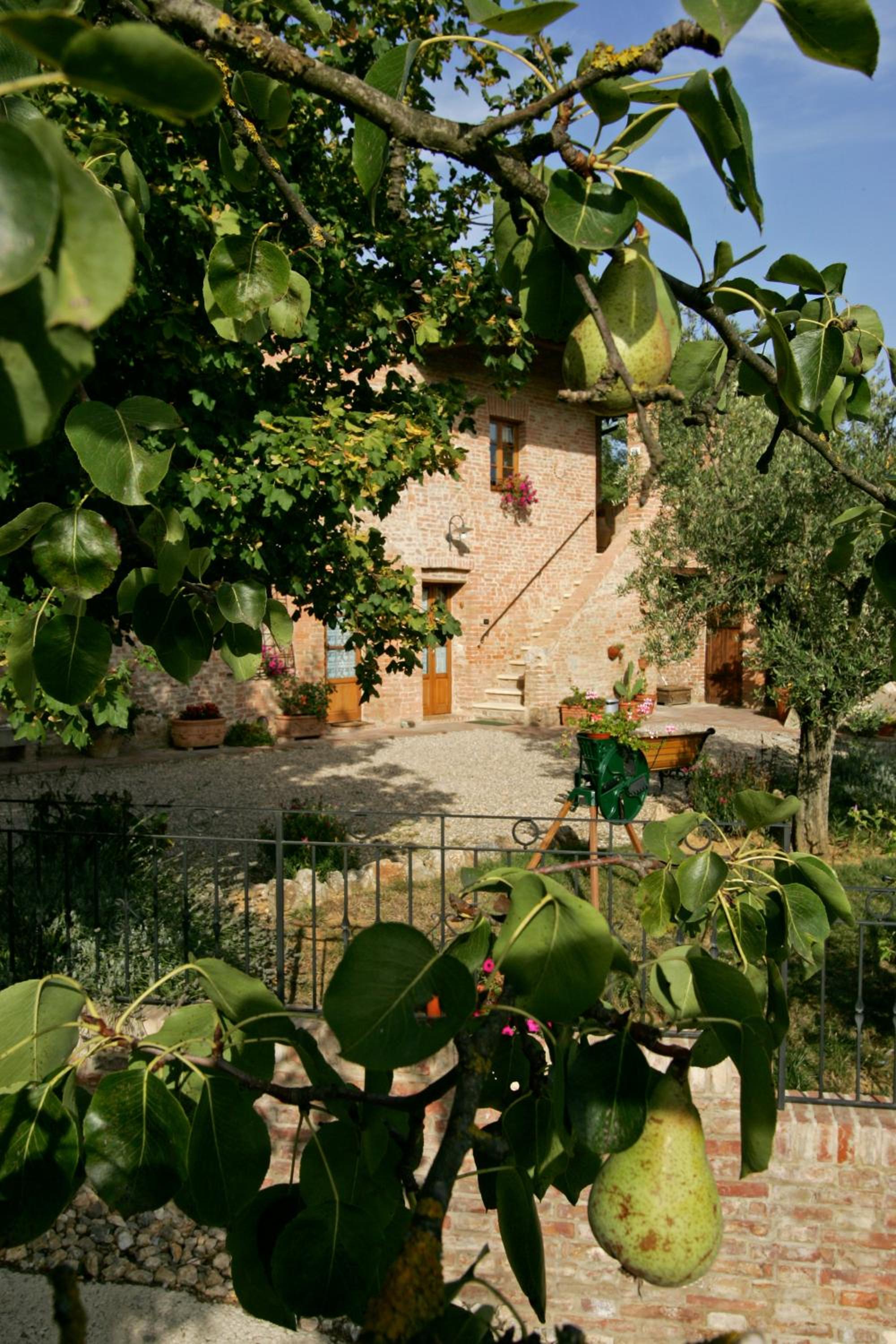 Photo 21