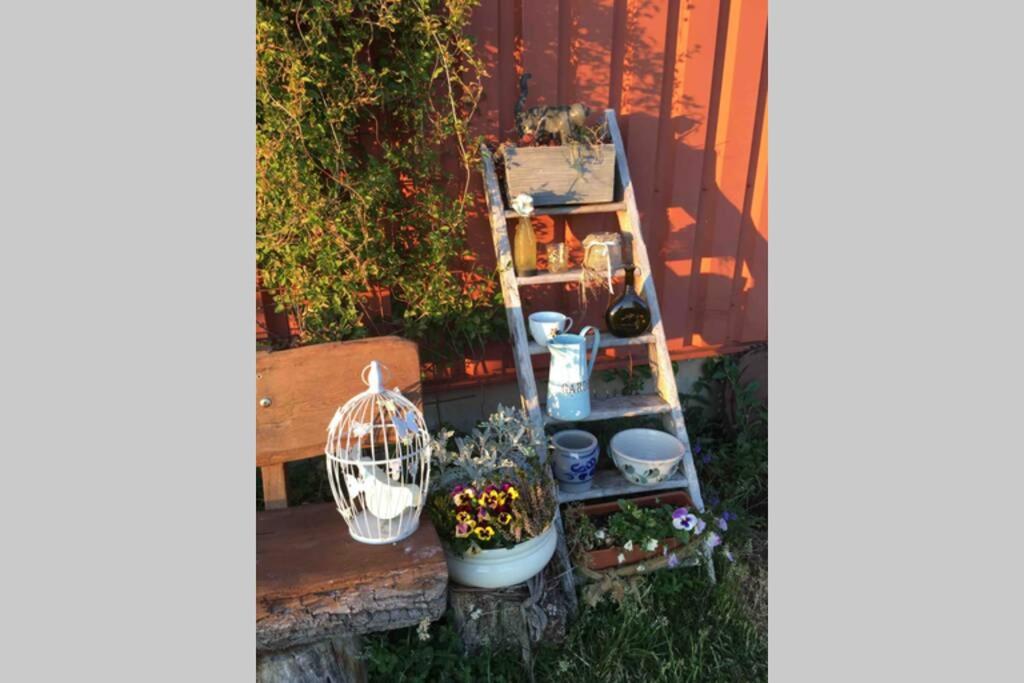 Irenes Tinyhouse