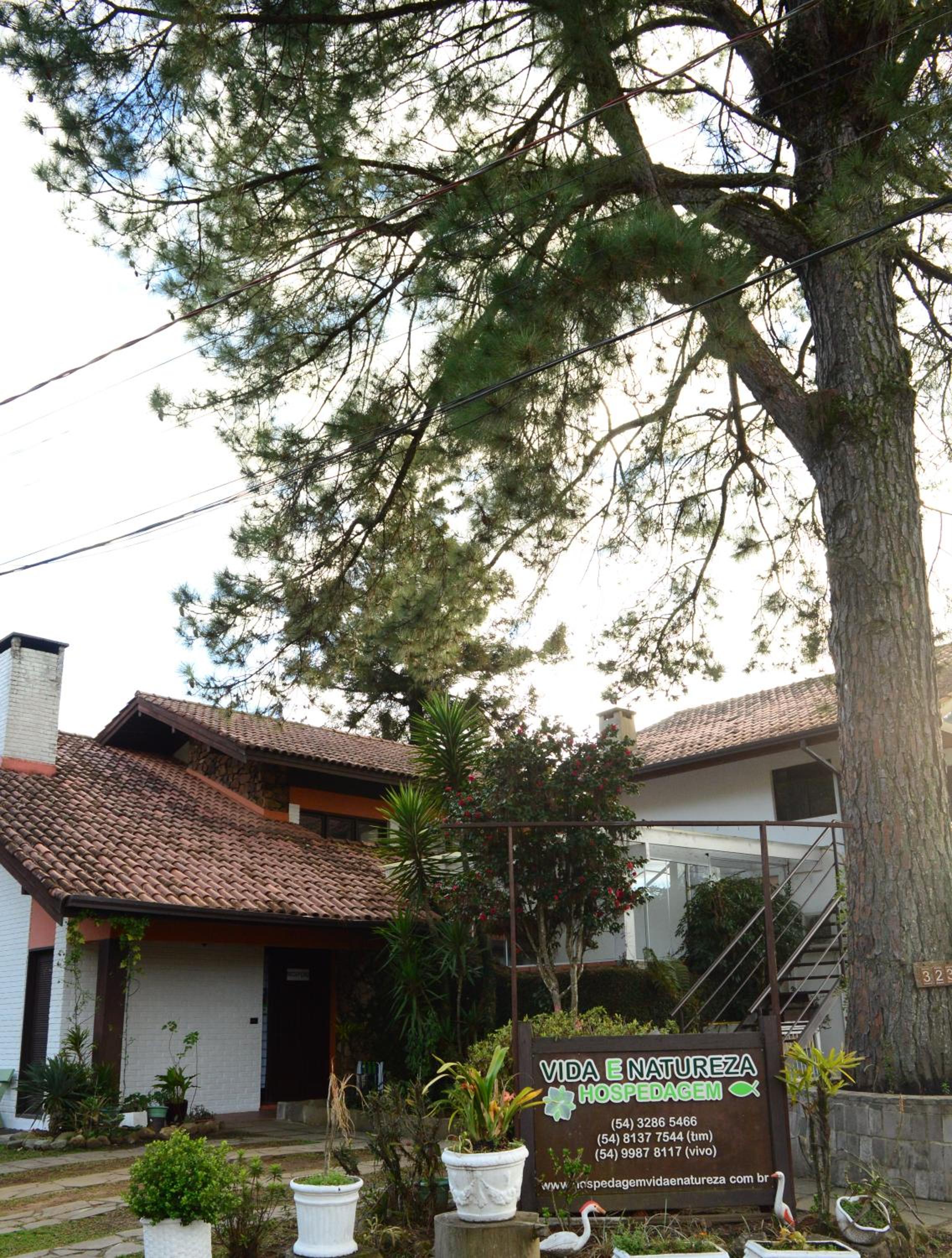 Hospedagem Vida e Natureza