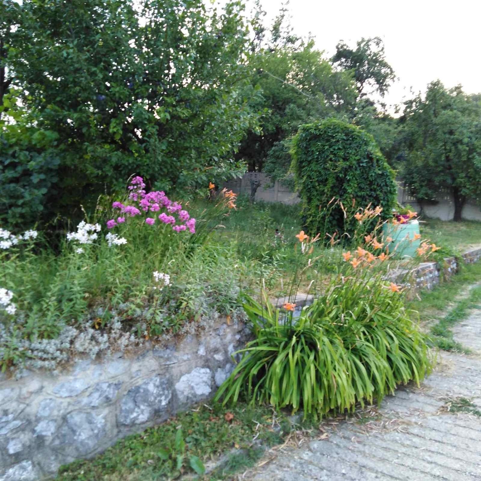 Photo 34