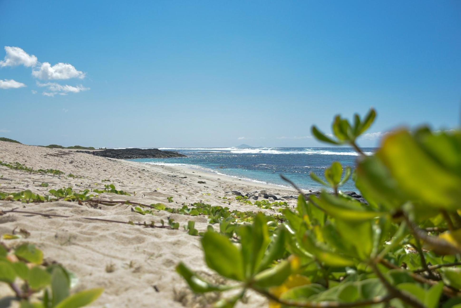 Eastern Blue - Sea View Luxury Apartment photo 5