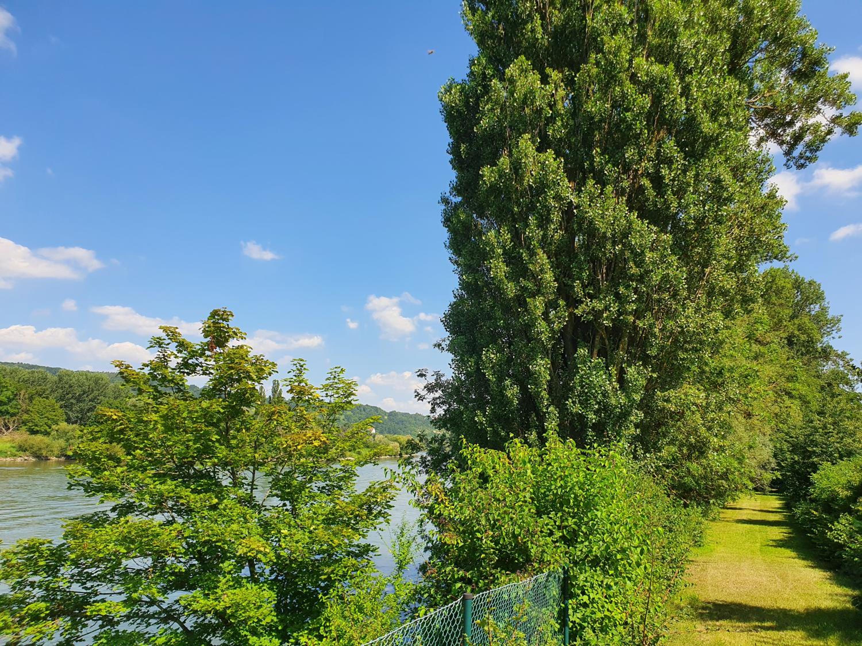 Ferienhaus am Donauspitz