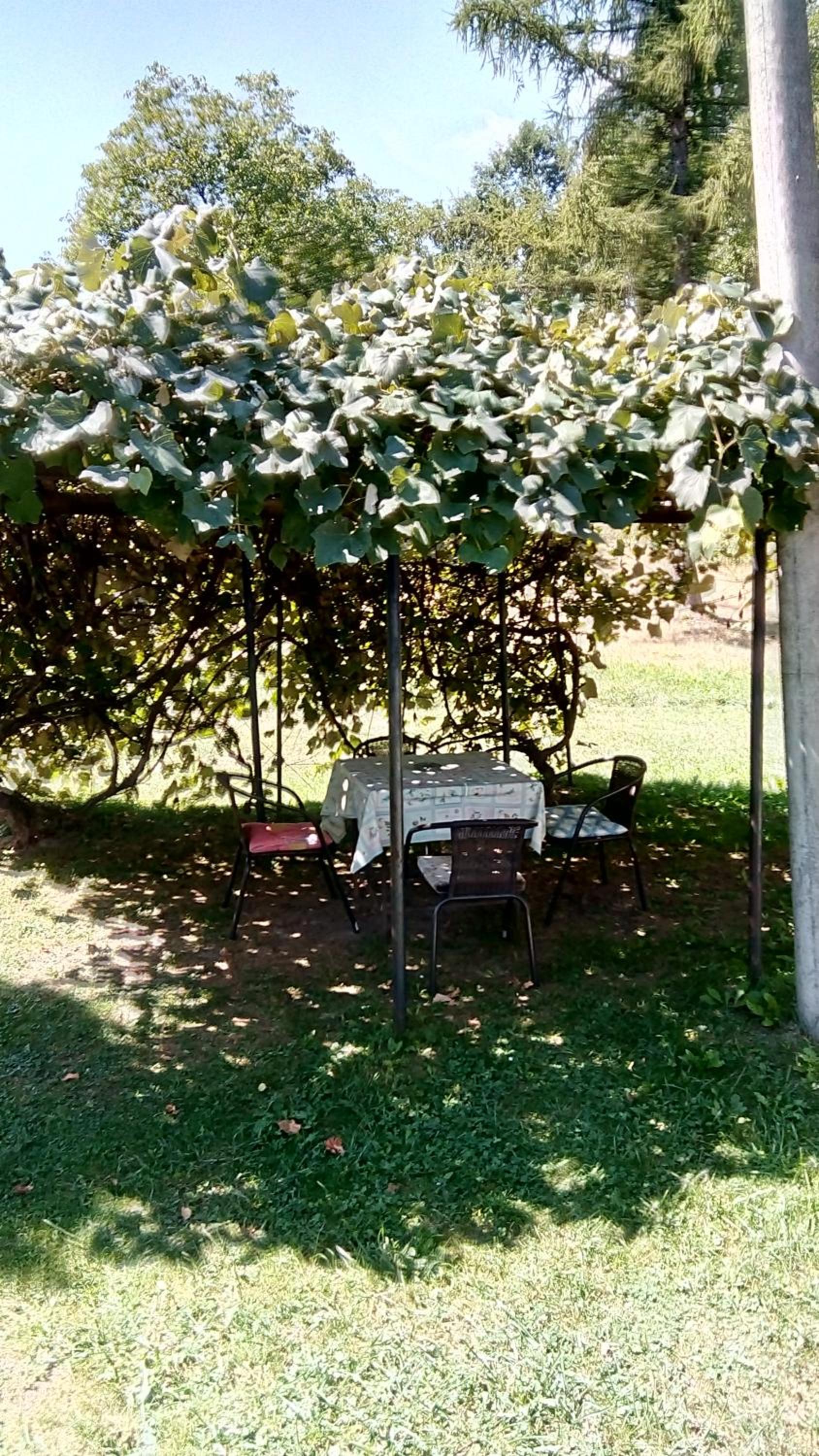 Photo 48
