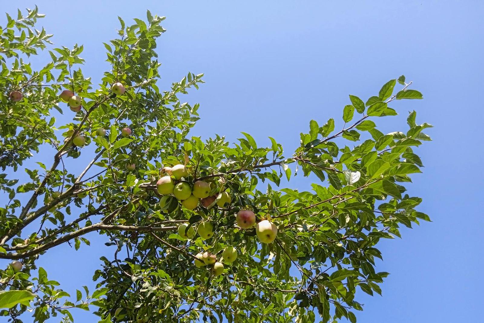 Photo 27