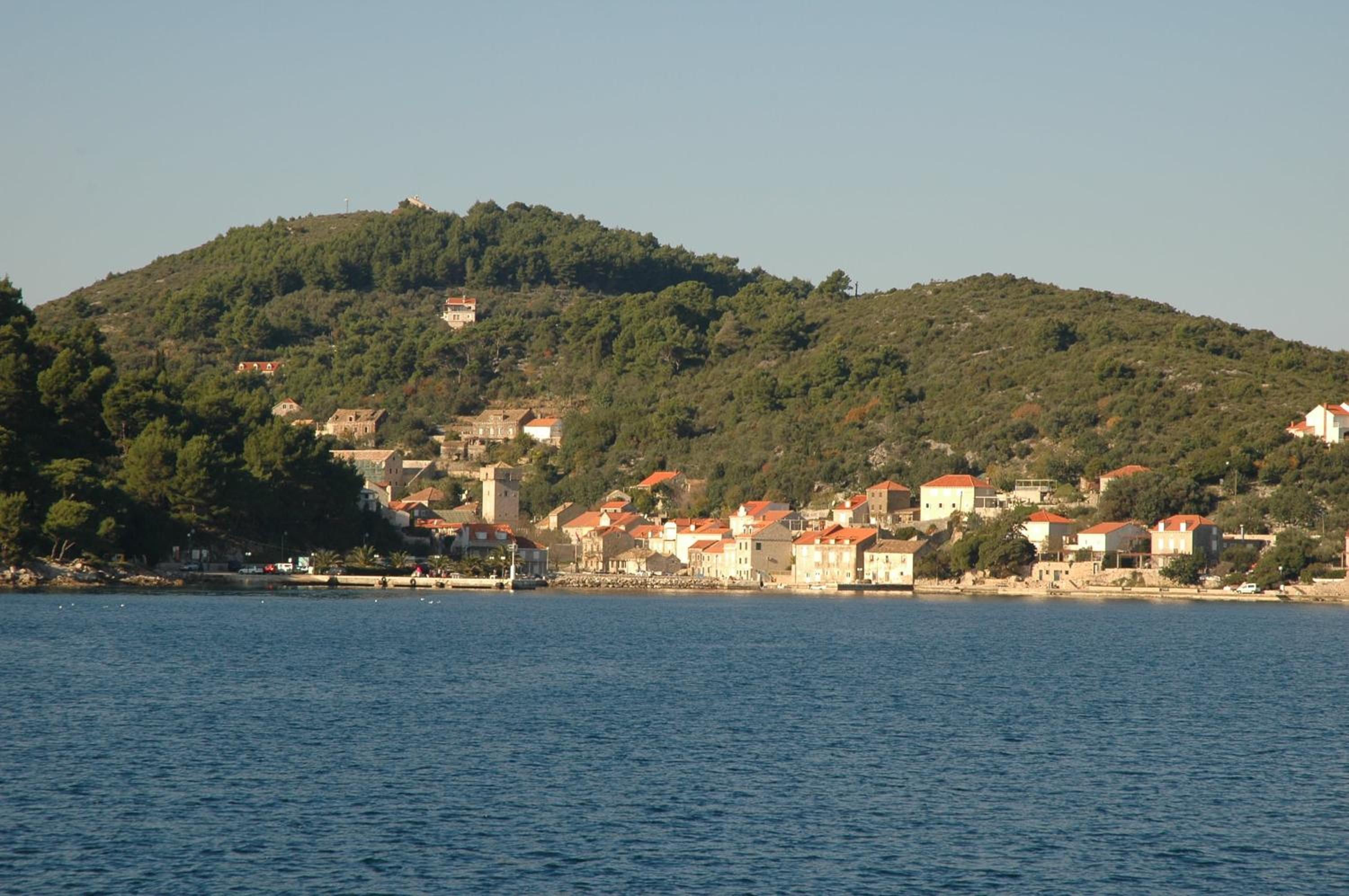Photo 25
