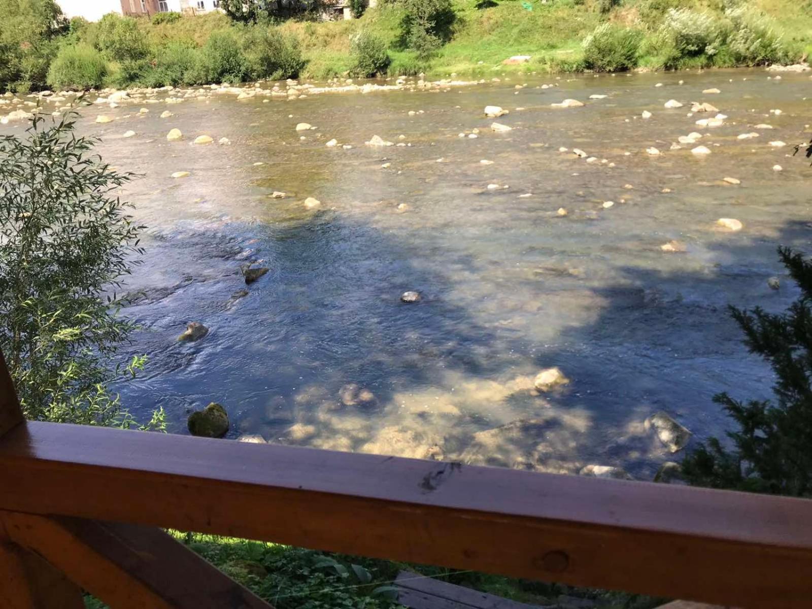 Yablunevyi Tsvit
