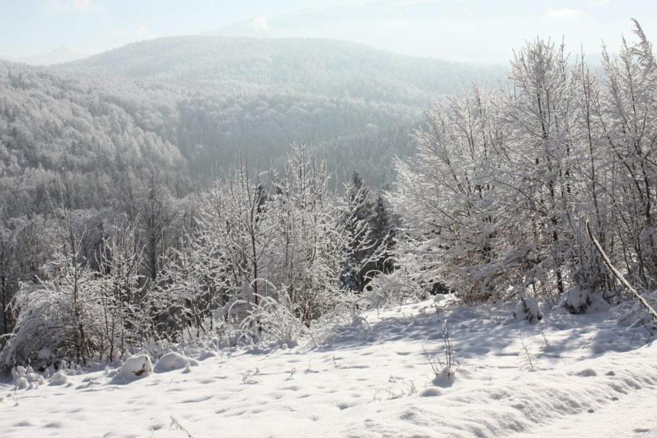 WERANDA z widokiem na Karkonosze view 3
