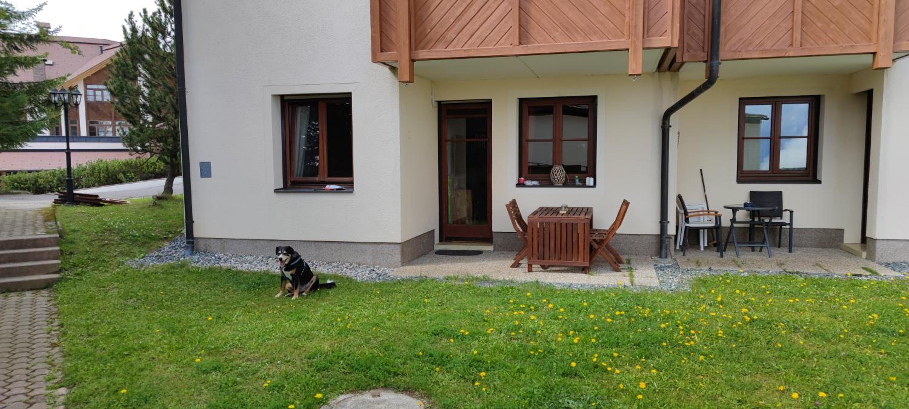 Photo 43