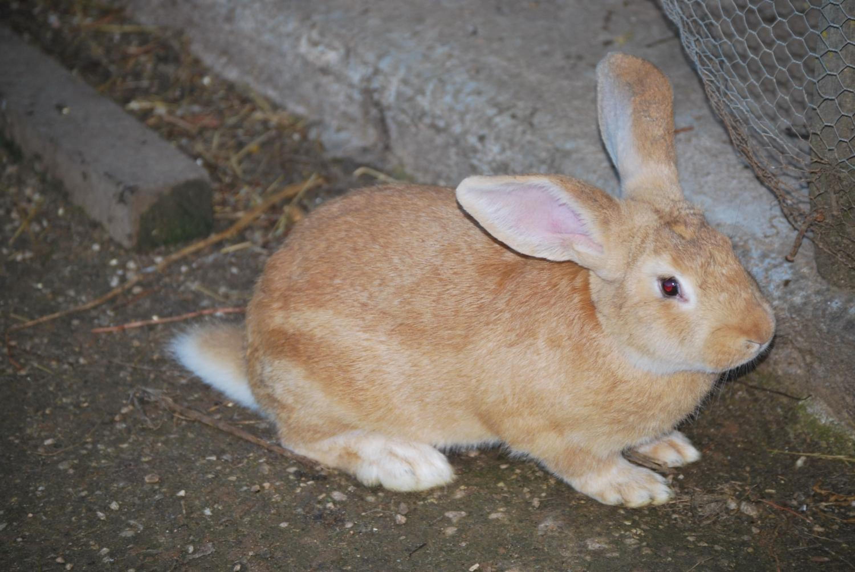 Photo 105