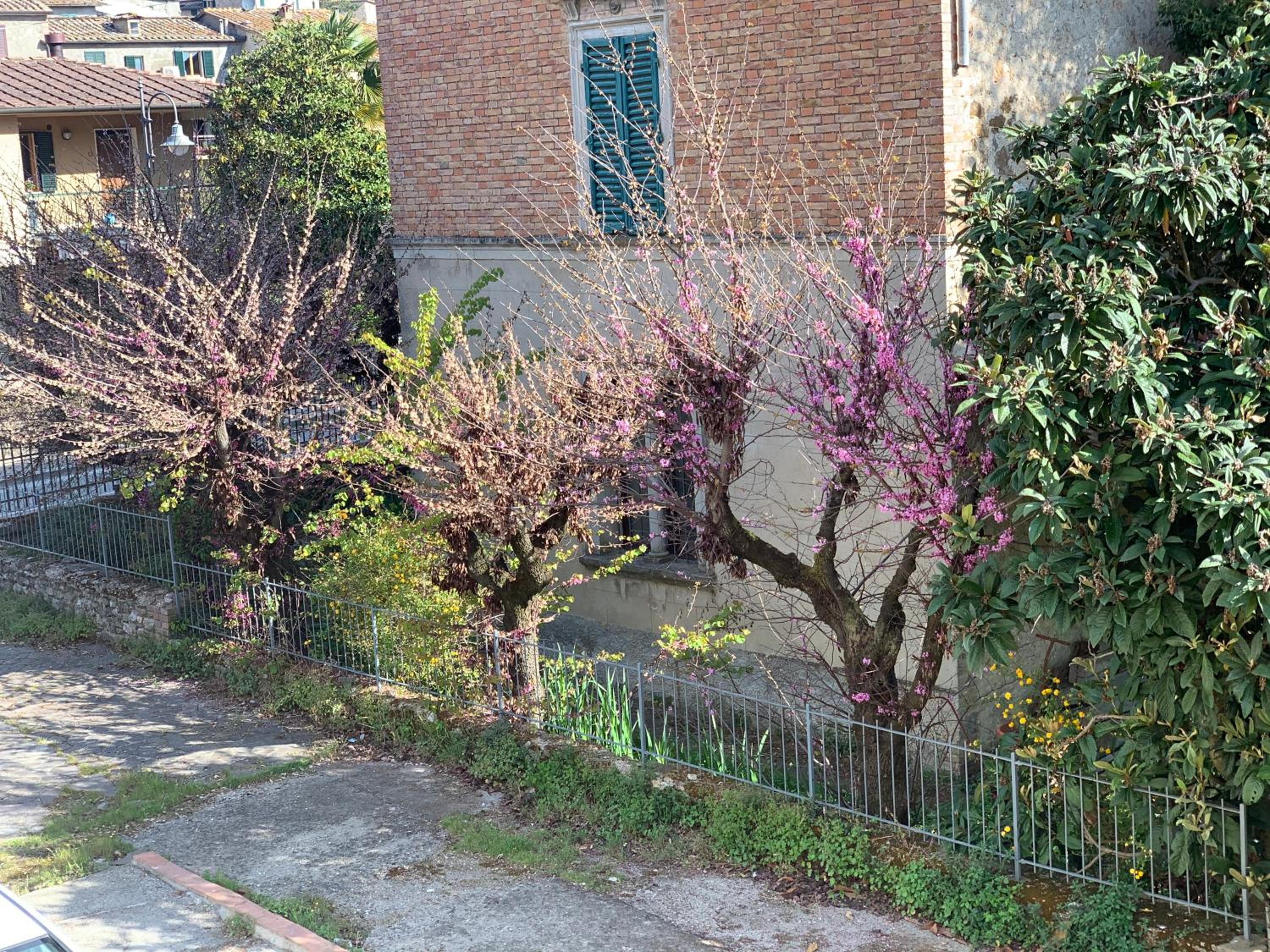 SMartspot Rosia photo 2