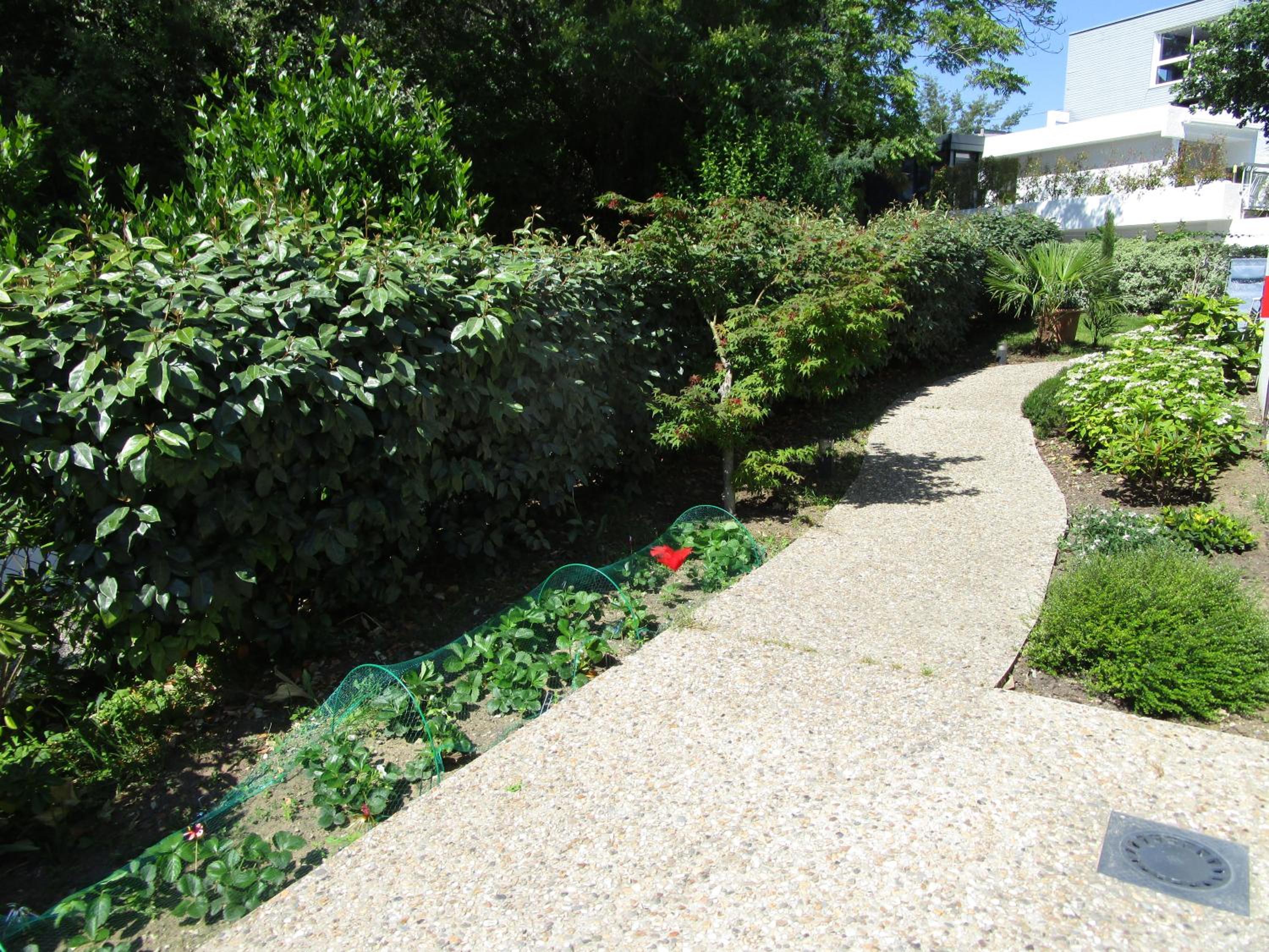 Chambre d'hôte, Royan plage, petit-déjeuner bio view 2