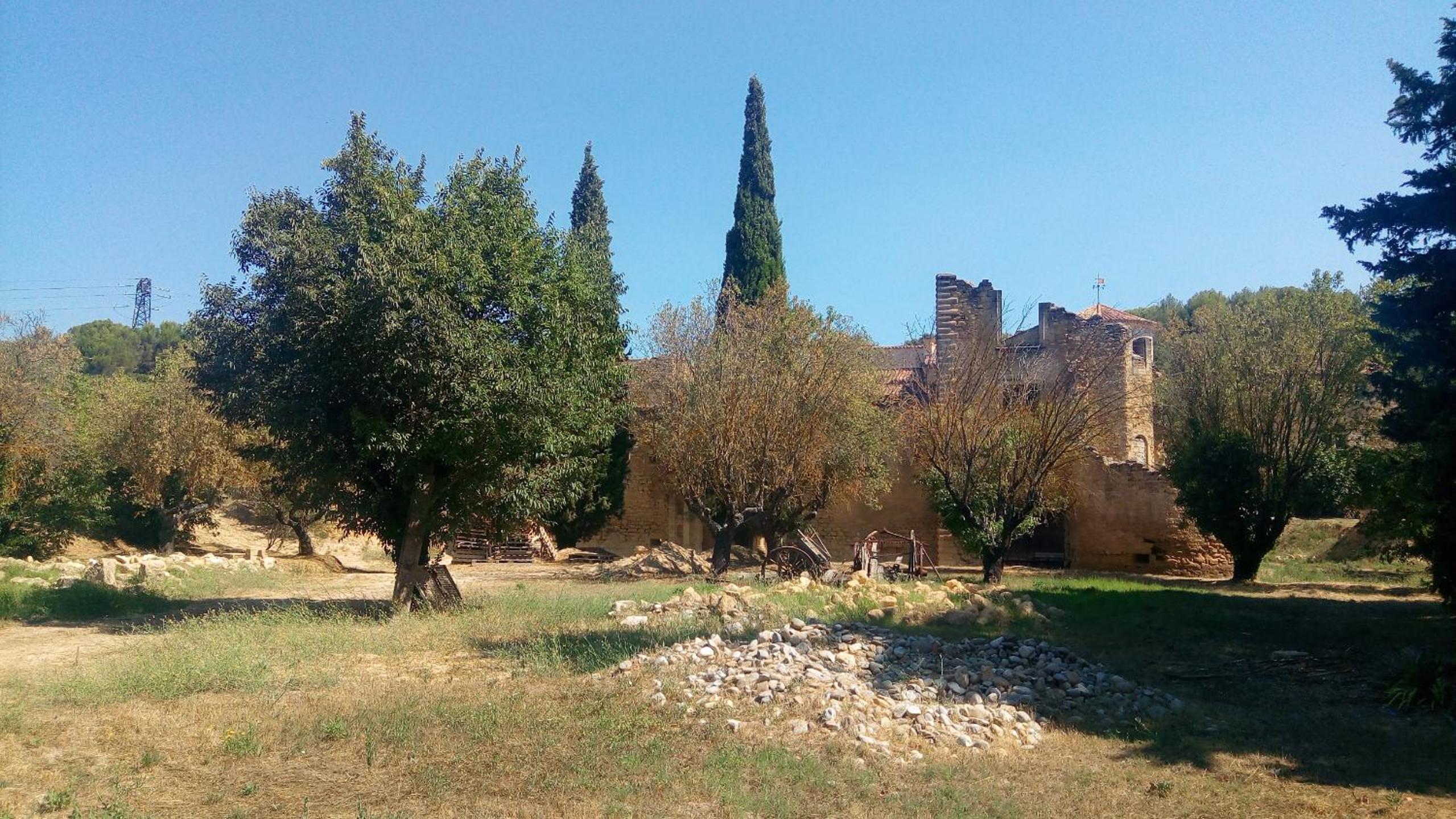 Photo 28