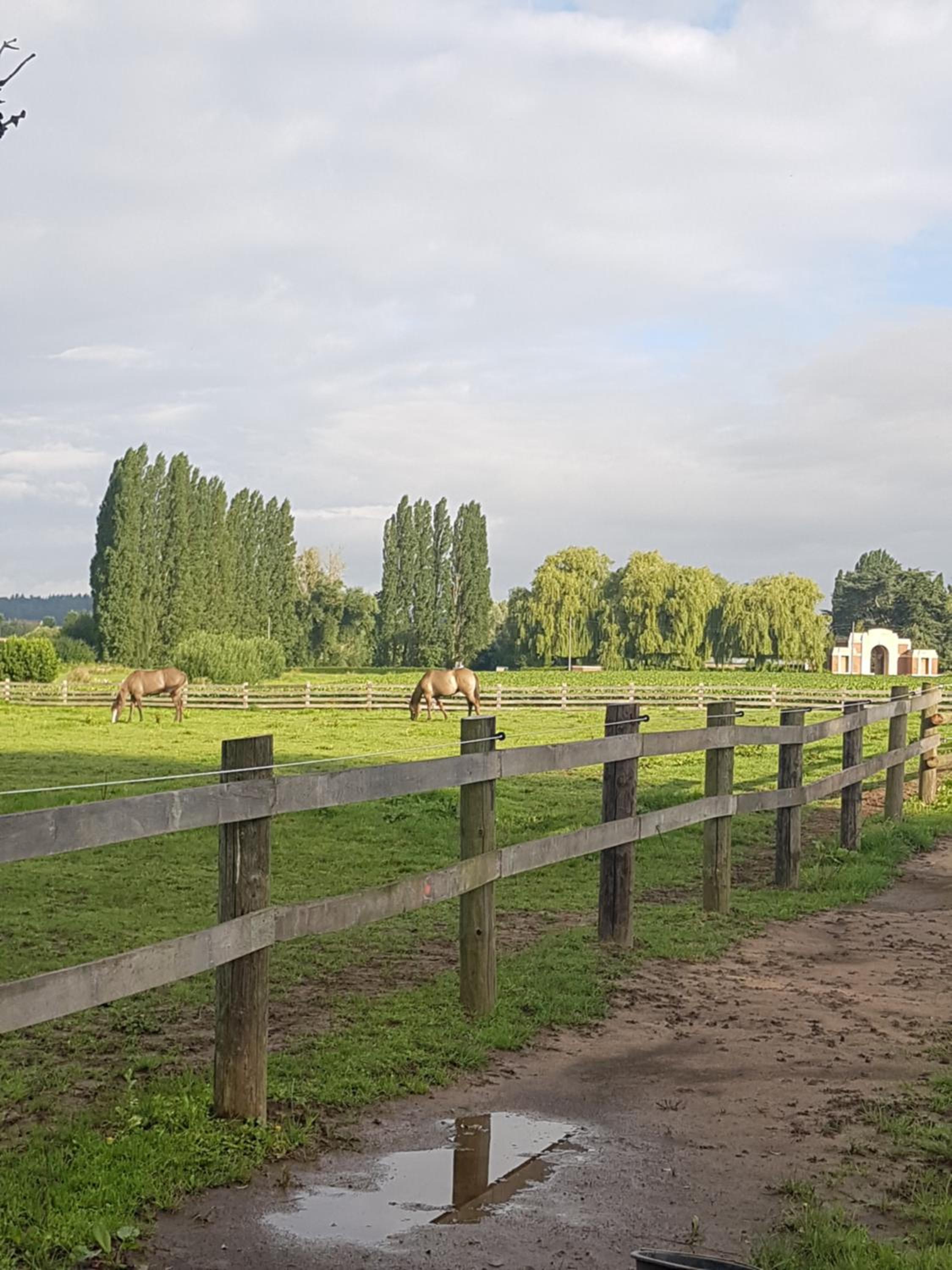 Ter Winterbeke op een steenworp van Poperinge