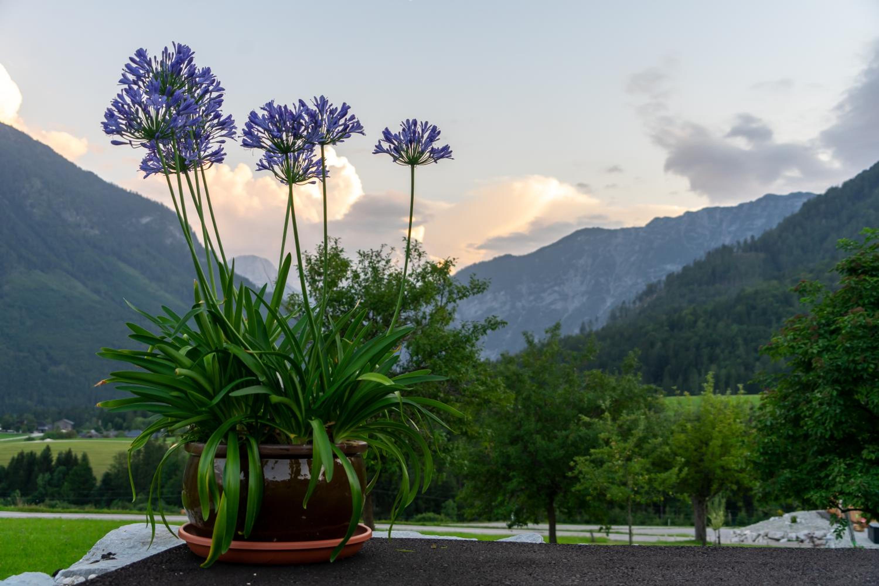 Lovely house with mountain view & big garden in Bad Aussee