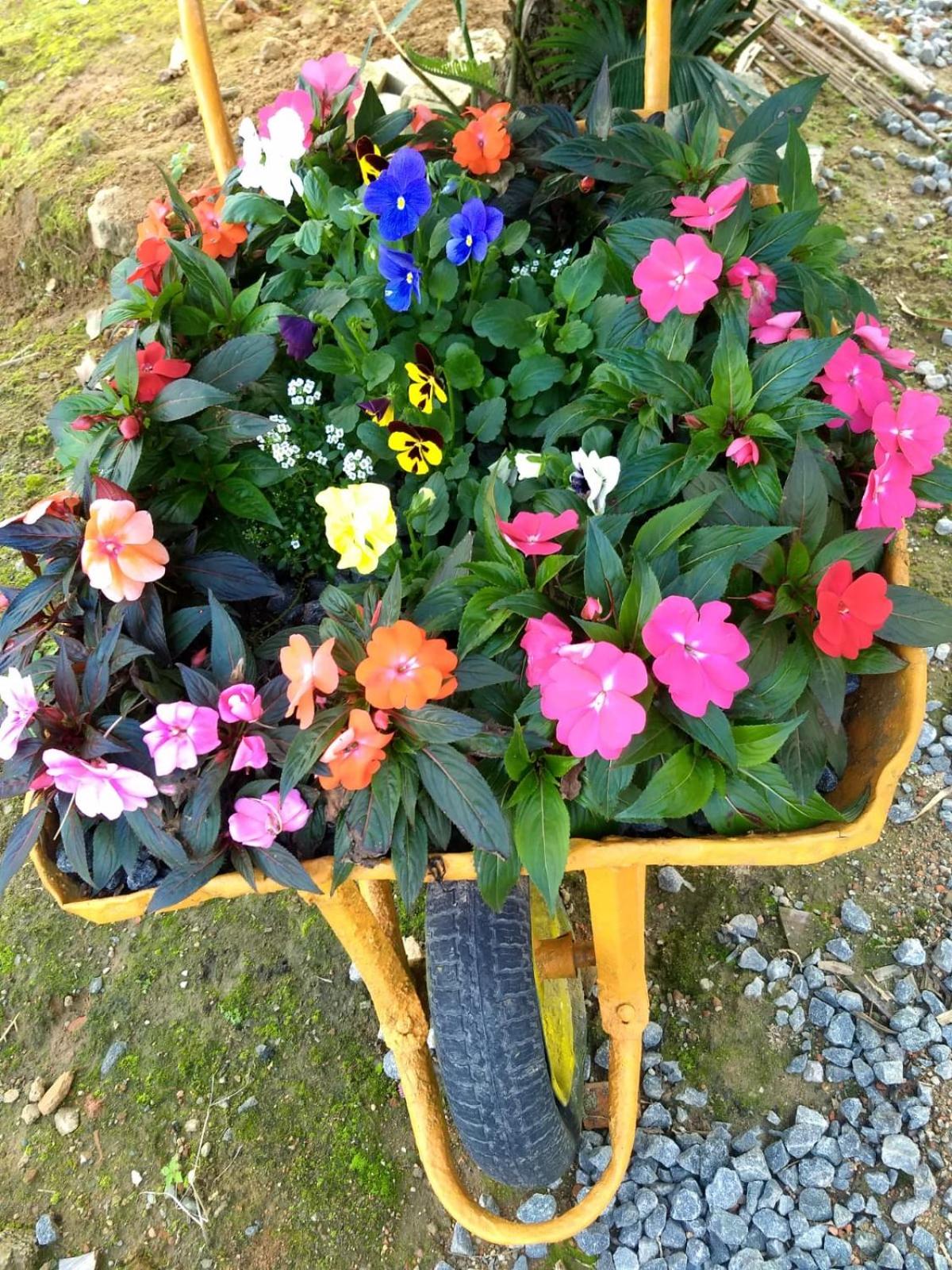 Photo 38