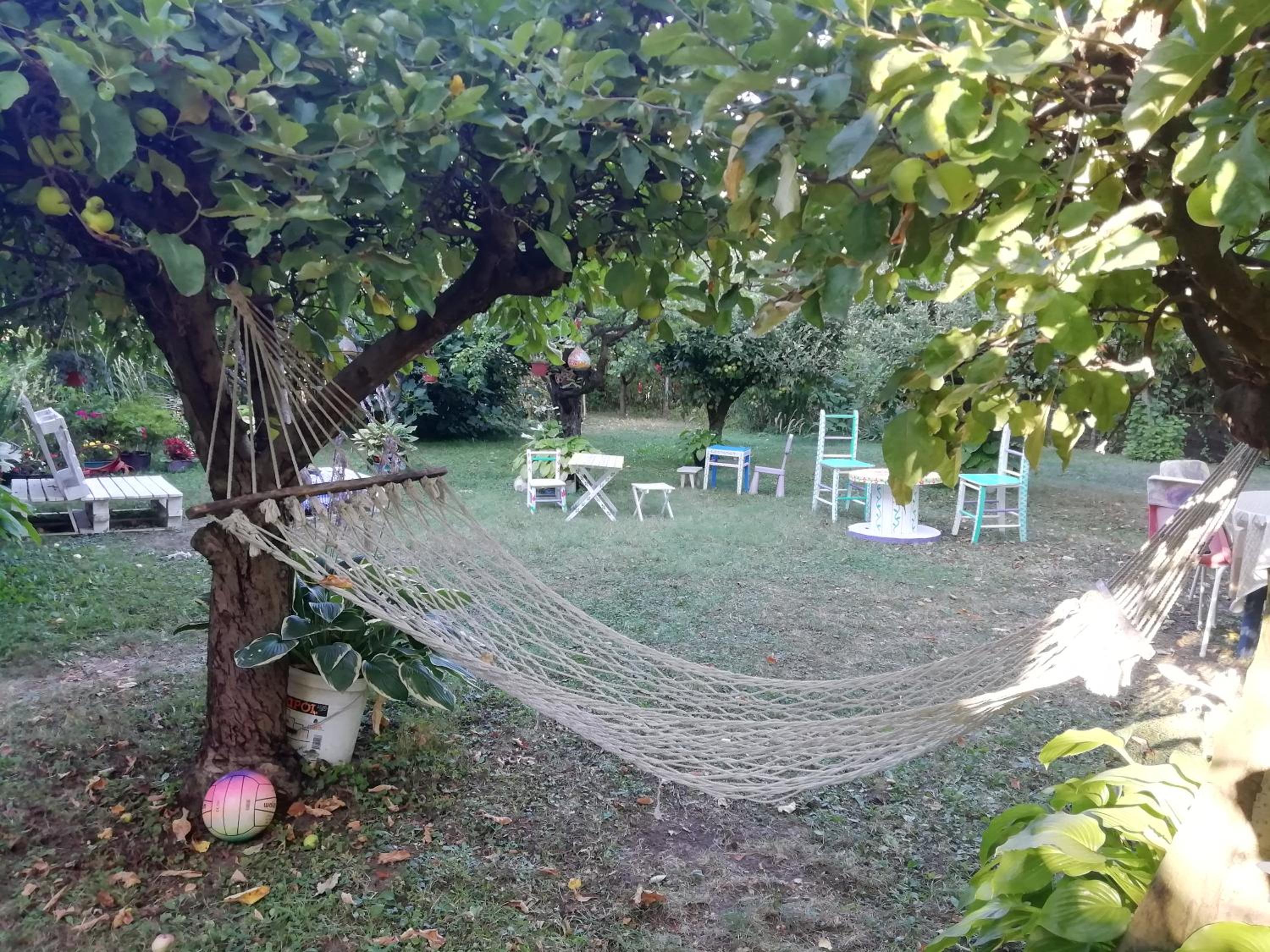 Photo 42