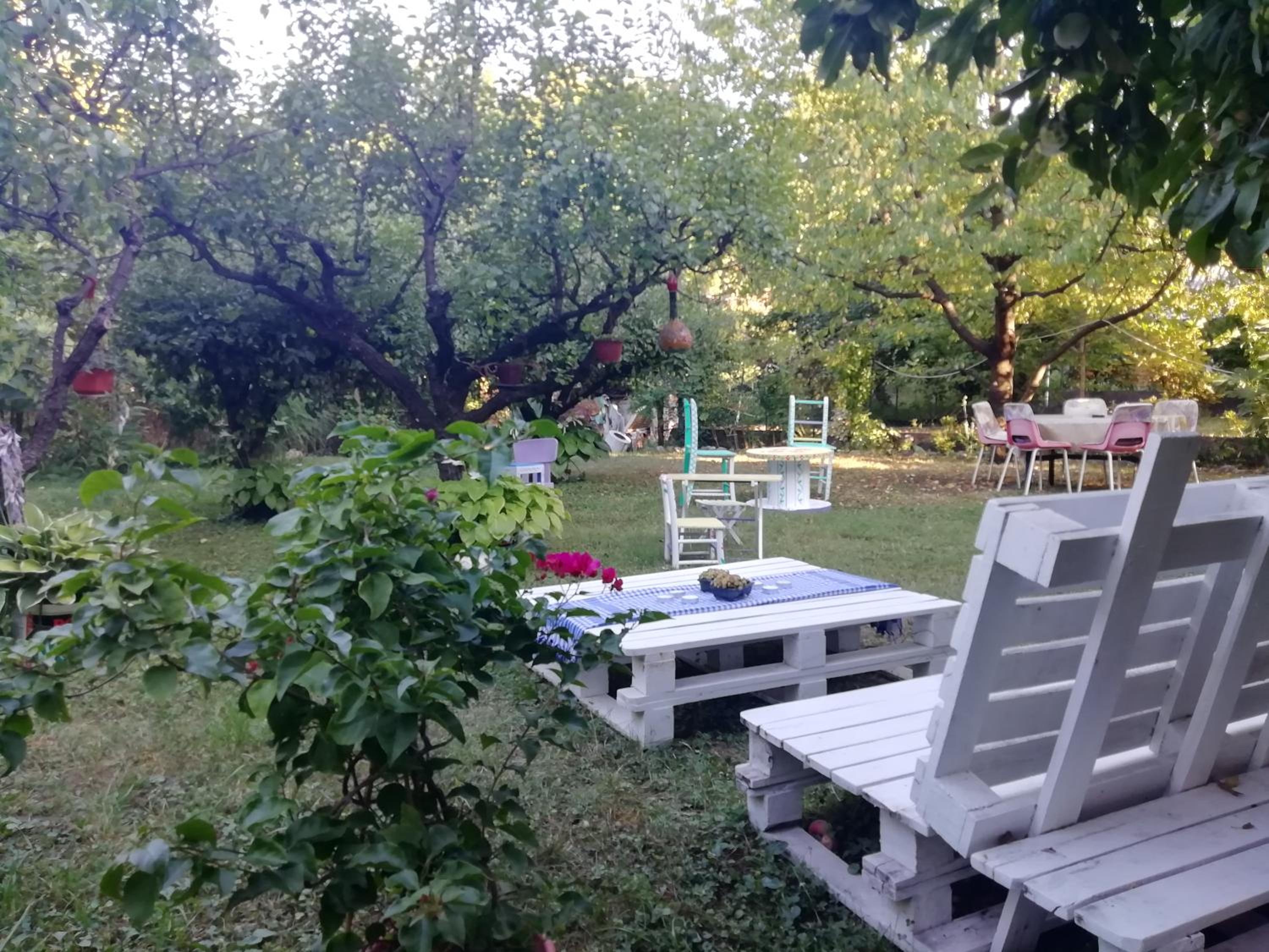 Photo 44