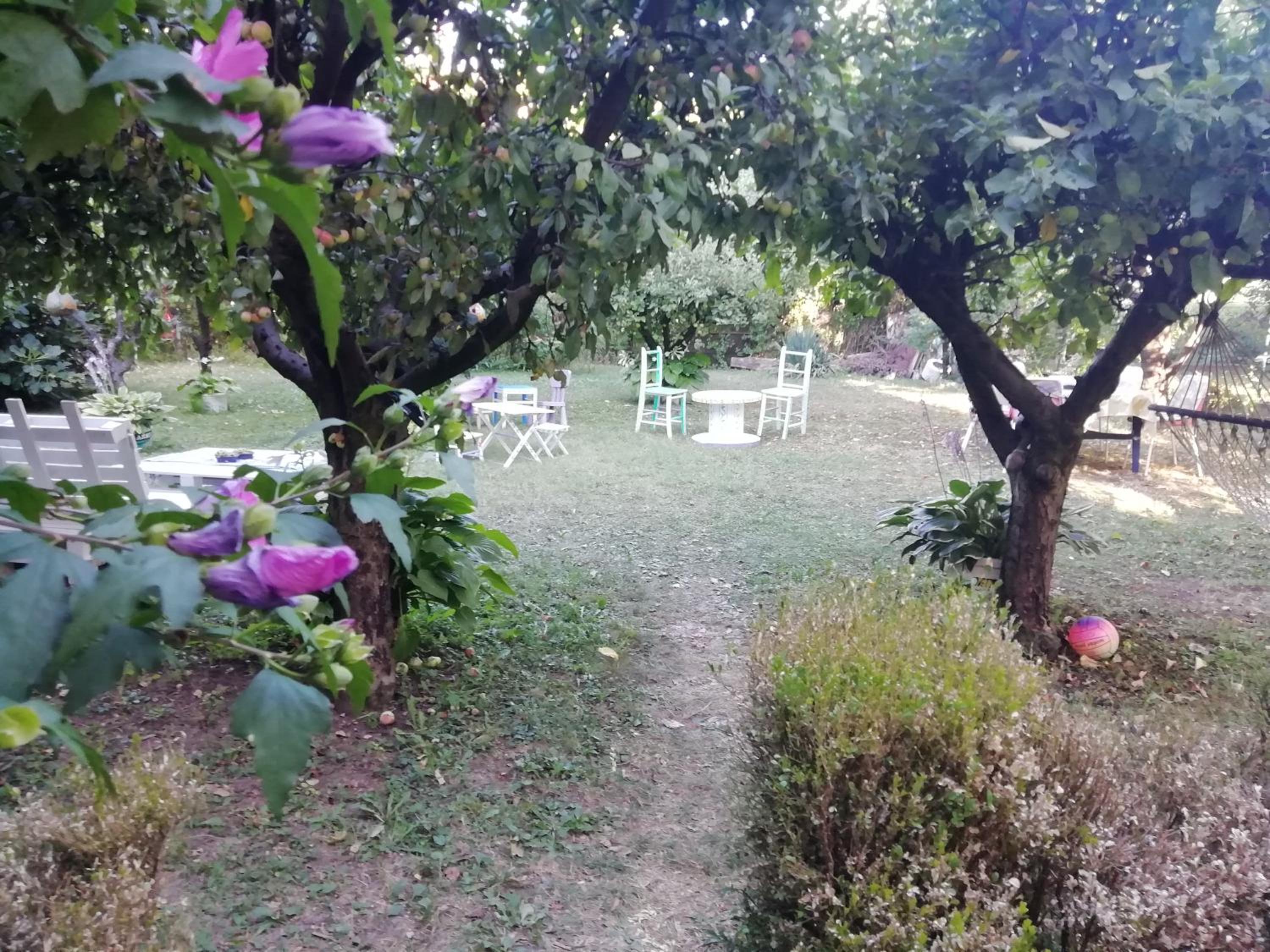 Photo 35