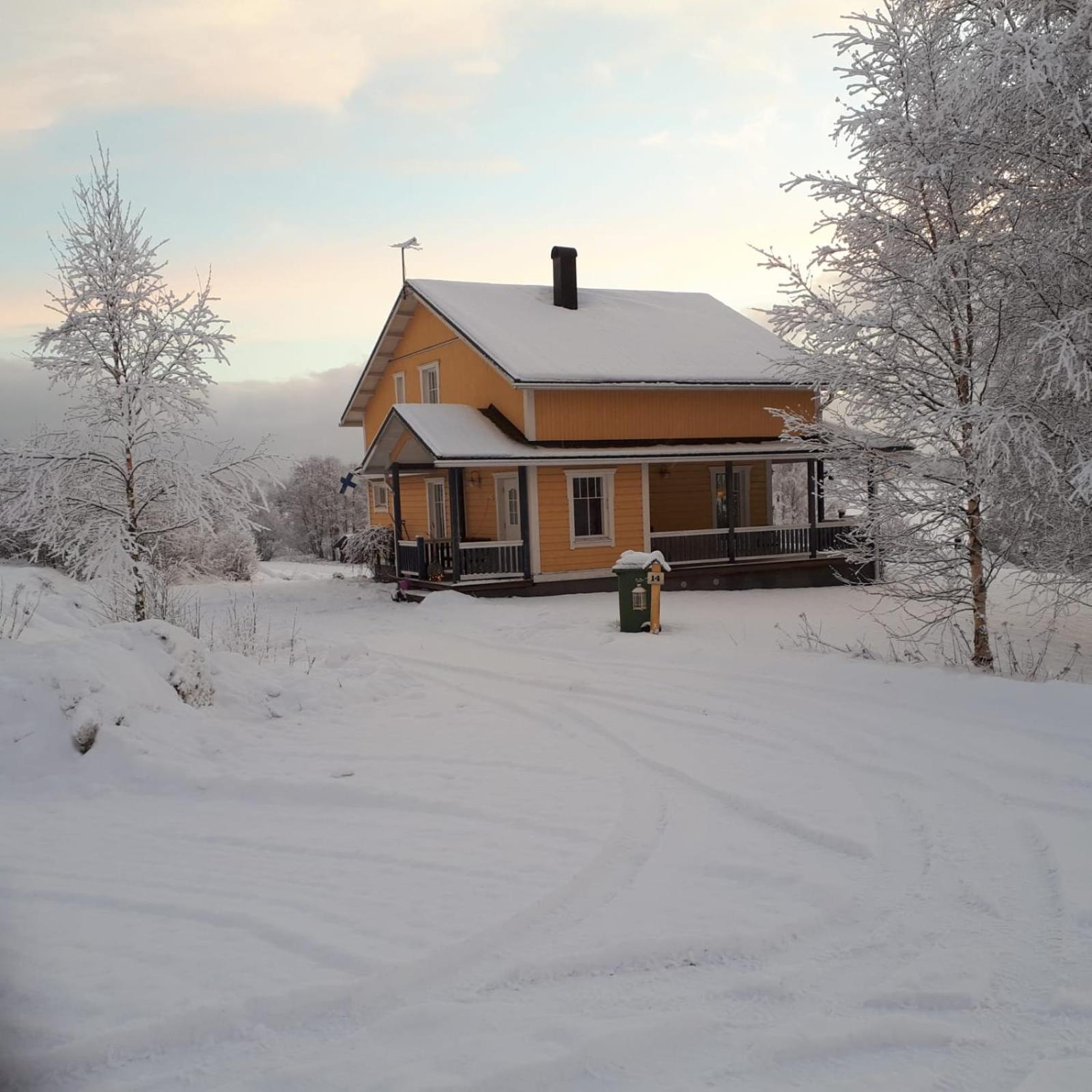Photo 7