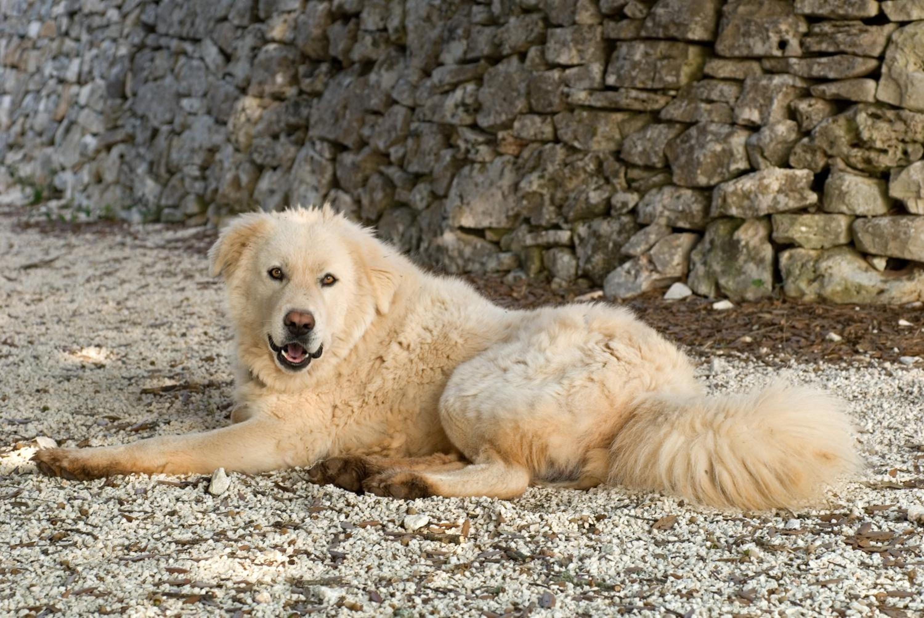 Agriturismo Iazzo Scagno