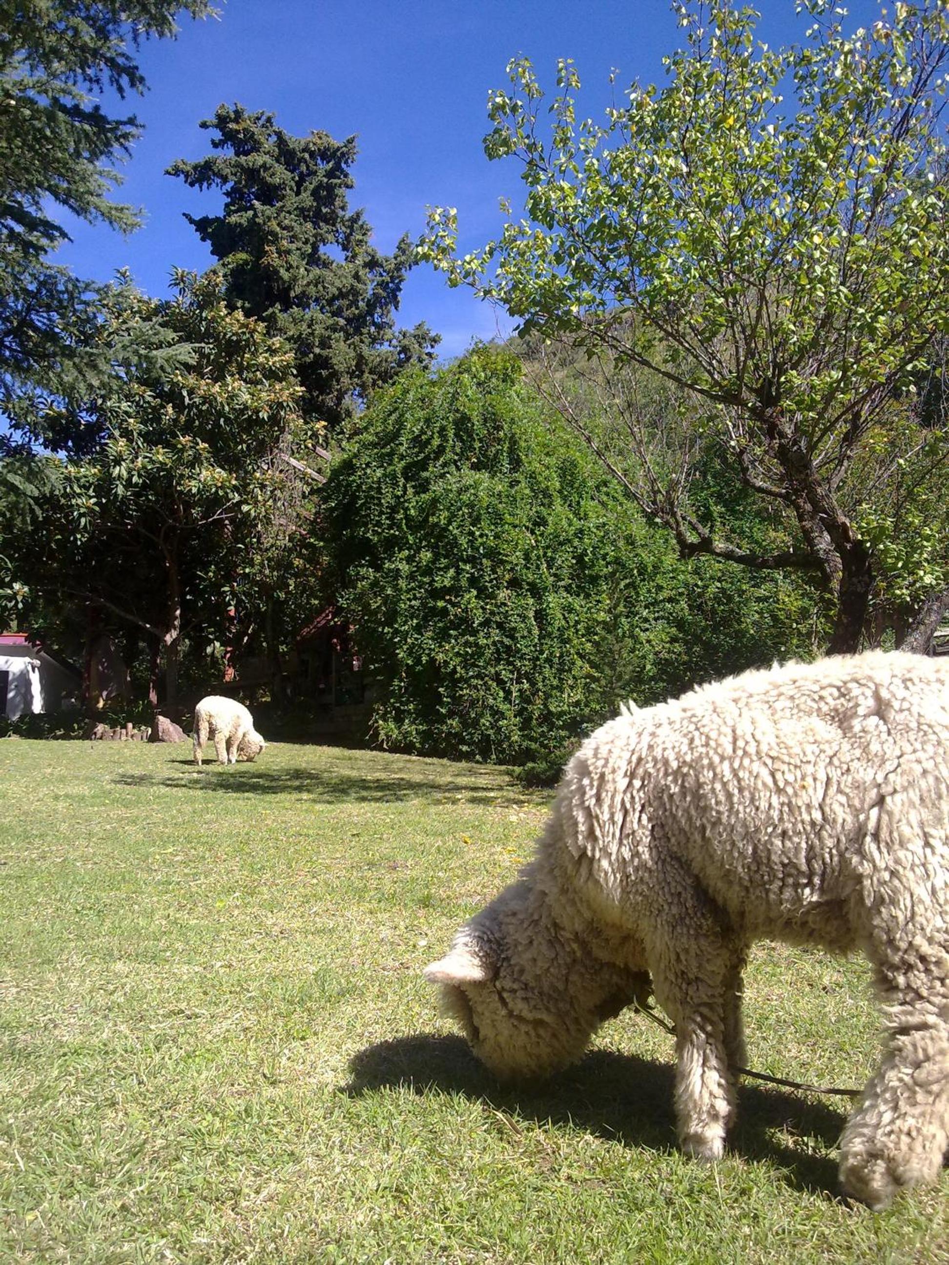 Casita de Piedra B&B
