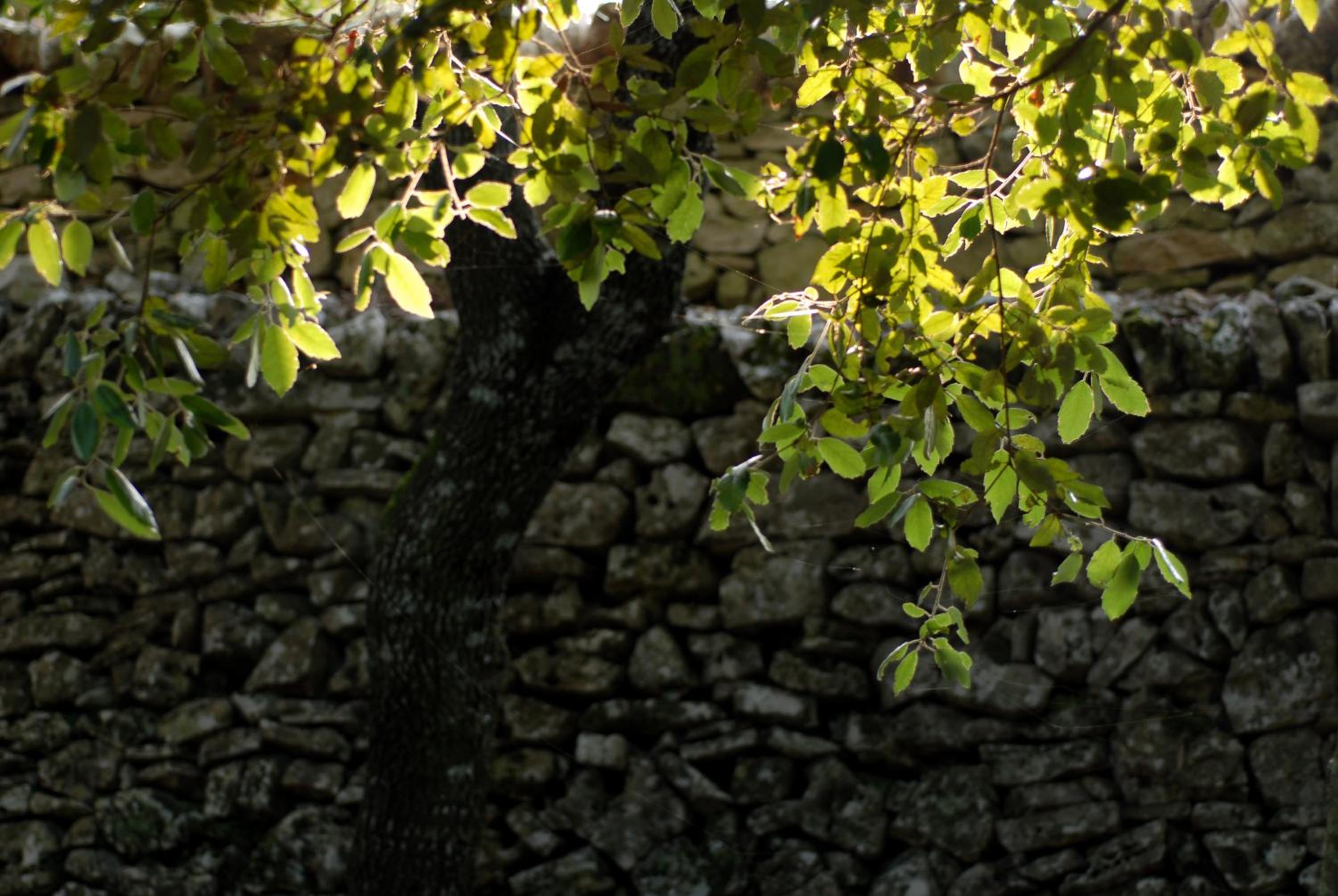 Agriturismo Iazzo Scagno