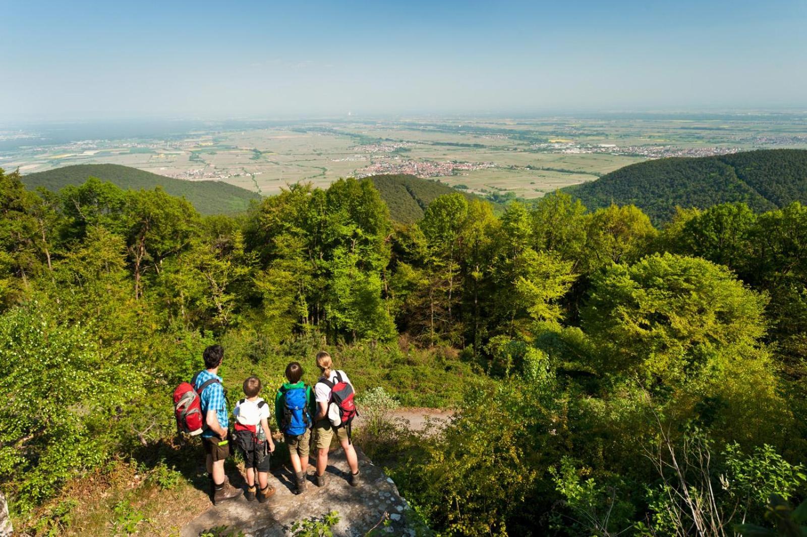 Pfälzer Herzel mit 2 Schlafzimmern und Blick über die Rheinebene kostenfreiem Parkplatz und Wlan fußläufig zum Wald und den Weinbergen Weinkühlschrank Bröt
