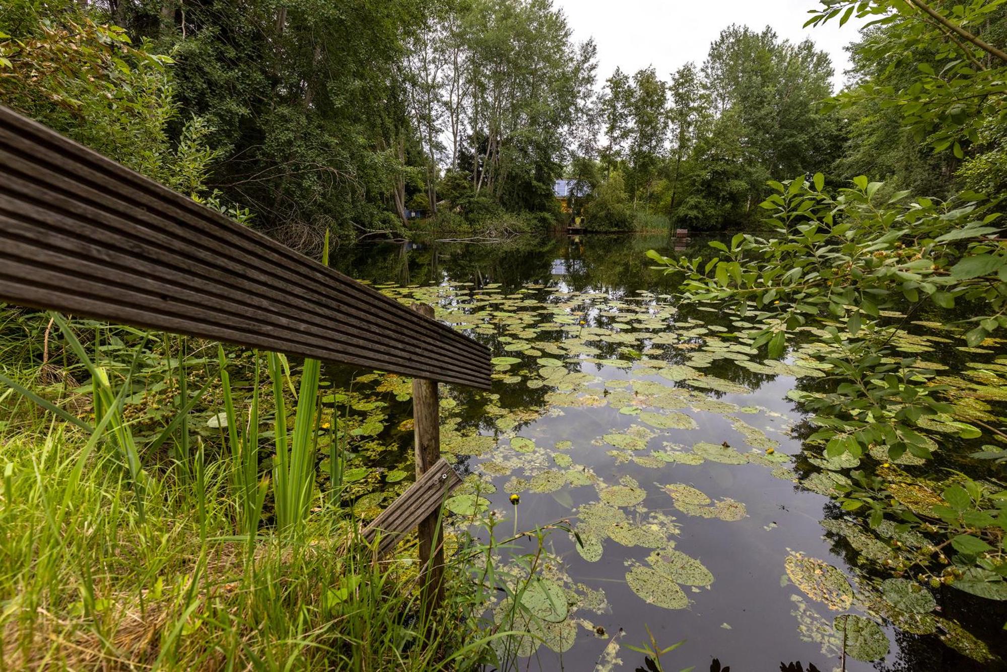 Haus am See