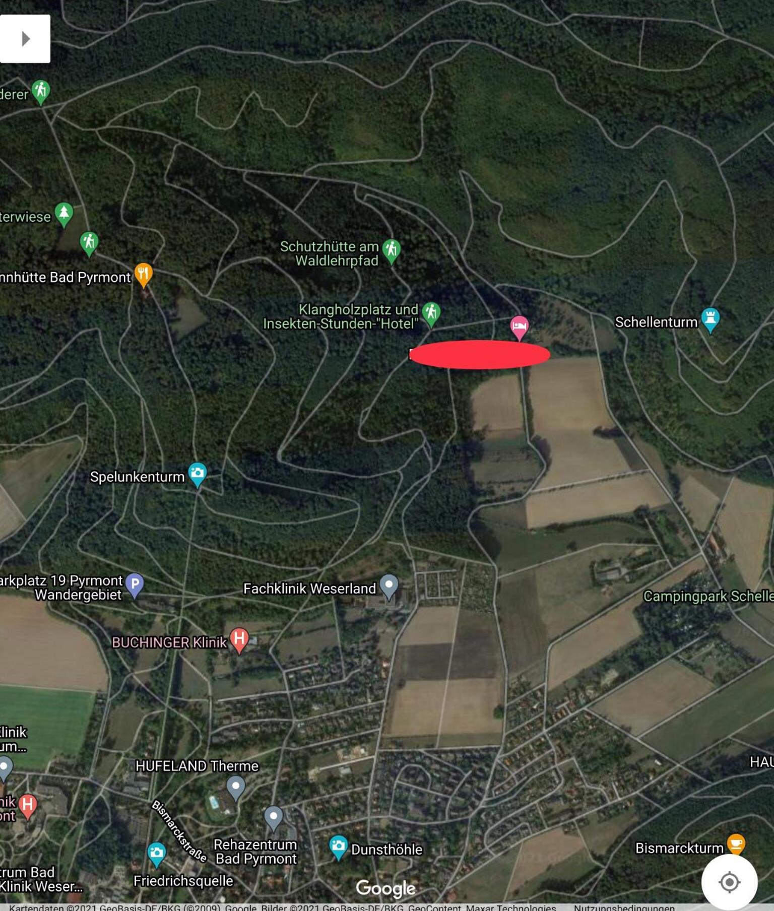 Ferien Langer Grund mitten im Wald view 4