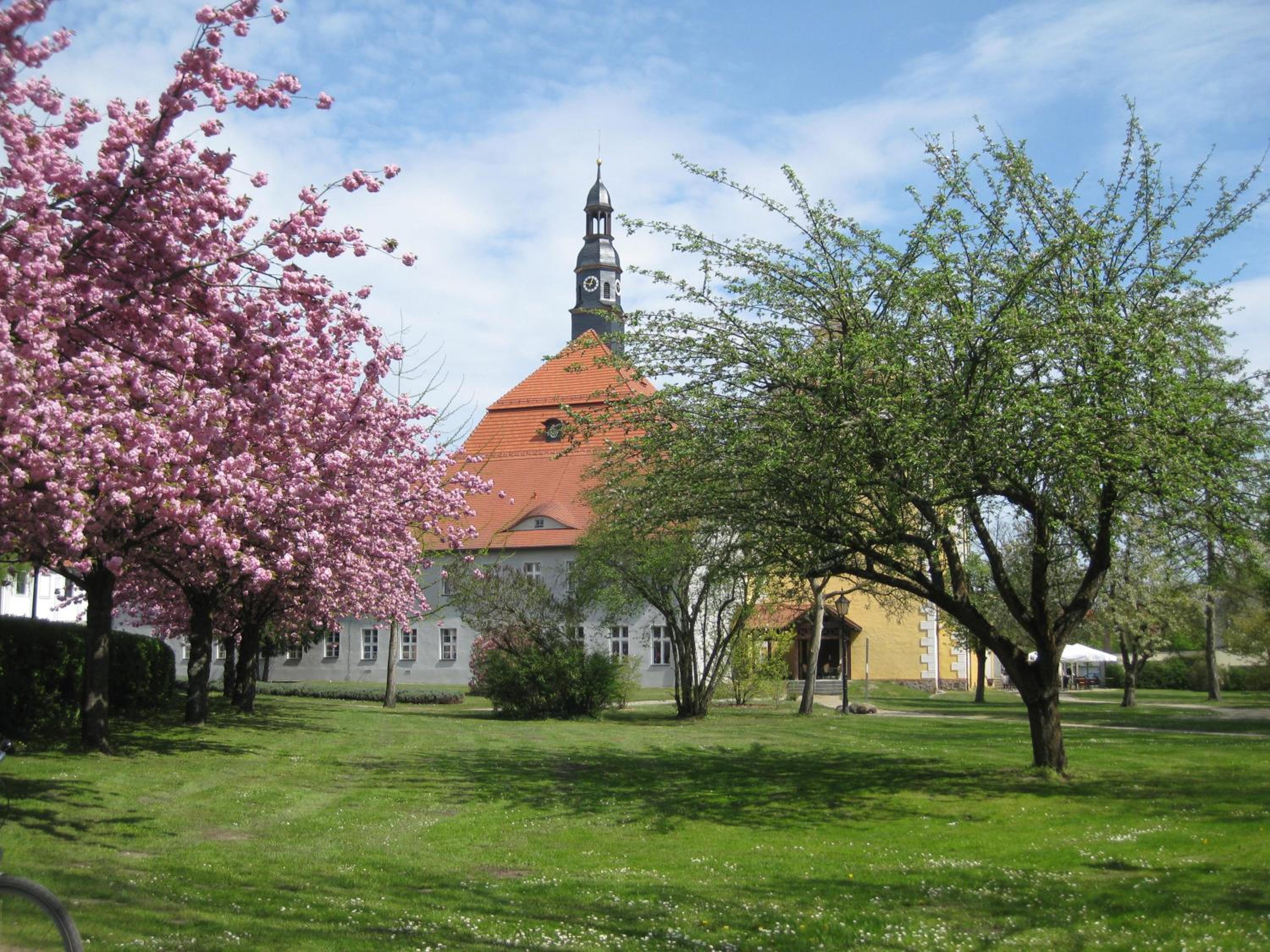 Photo 24