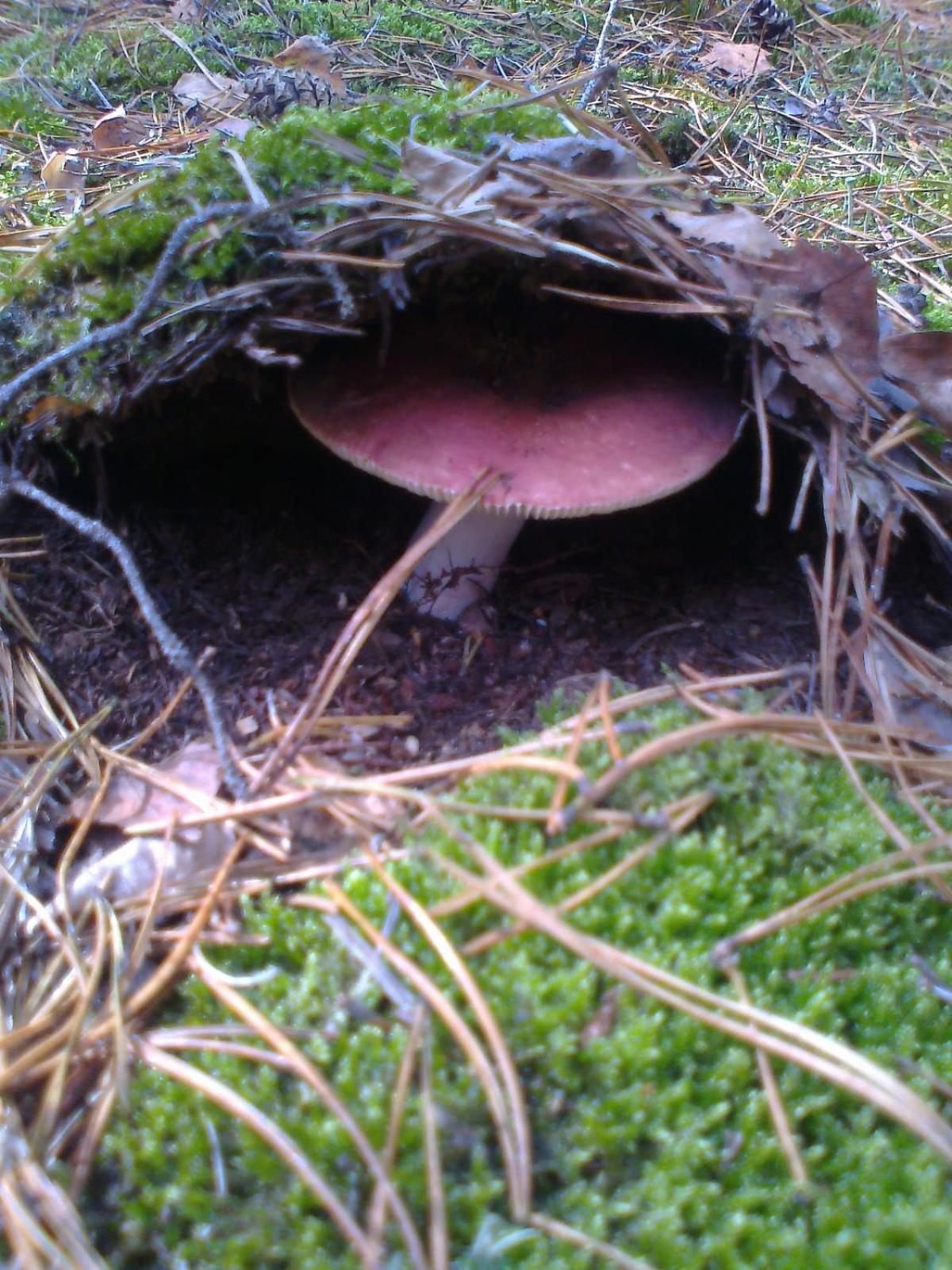 Photo 25